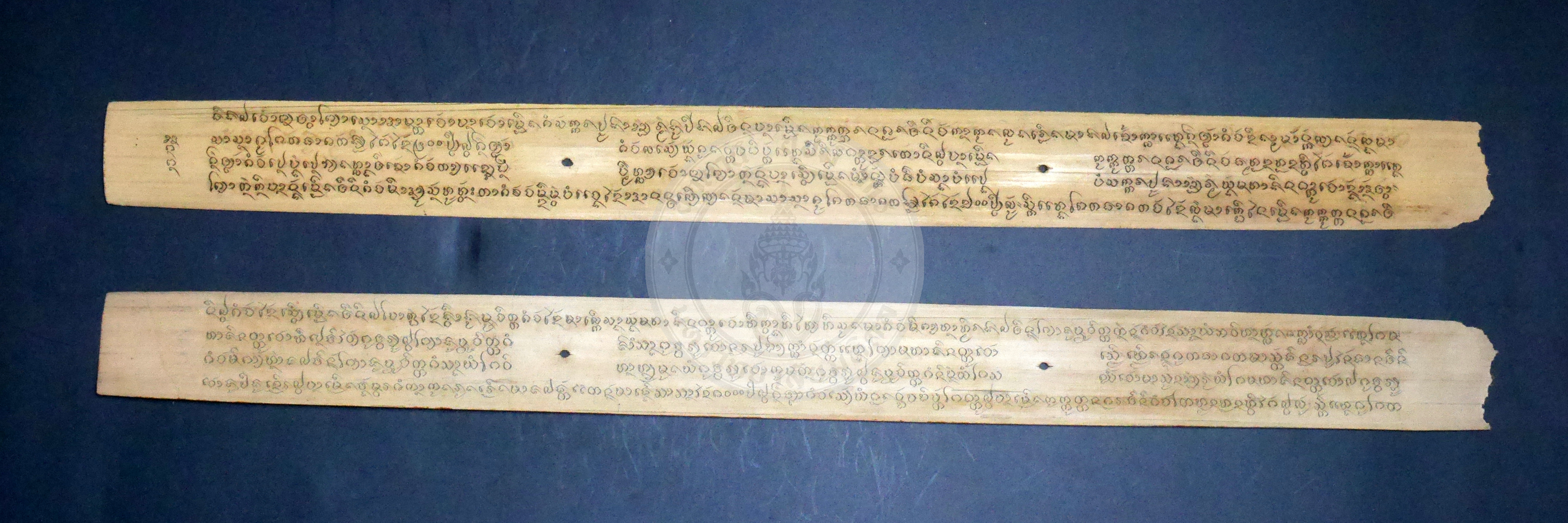 P1170355