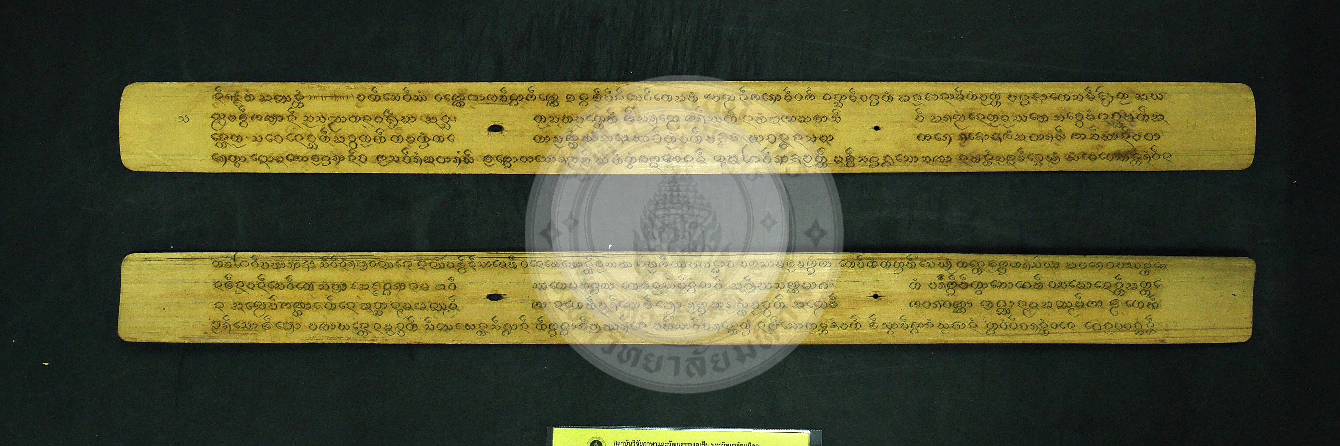 P1240369