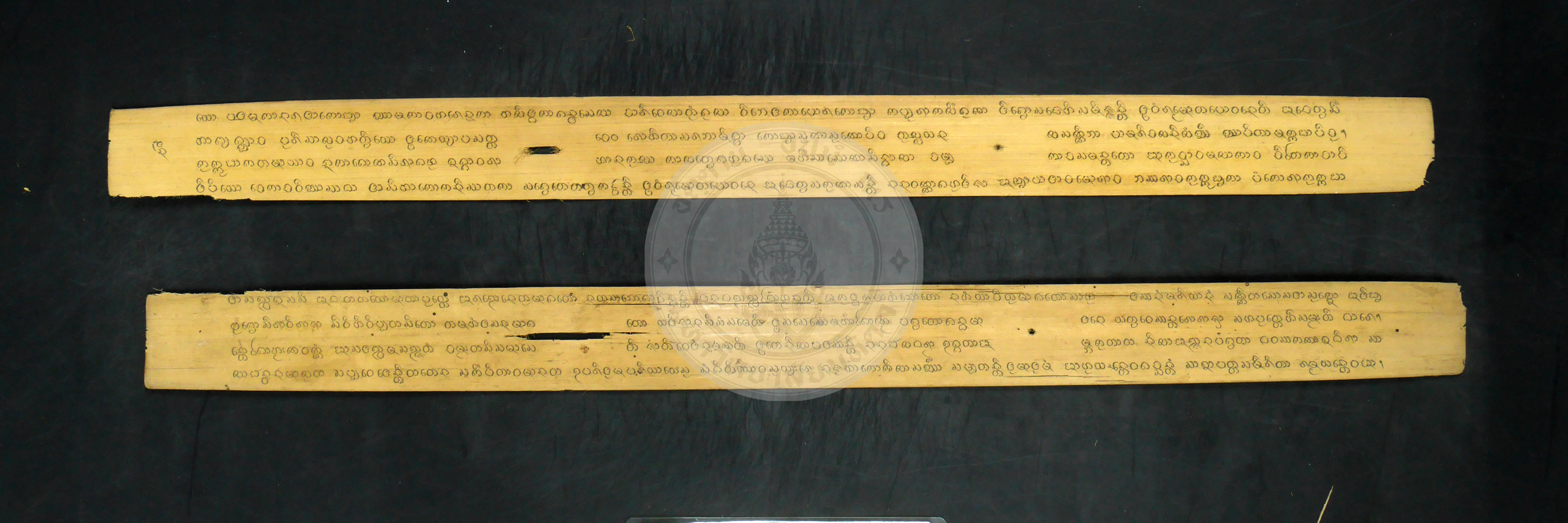 P1240636