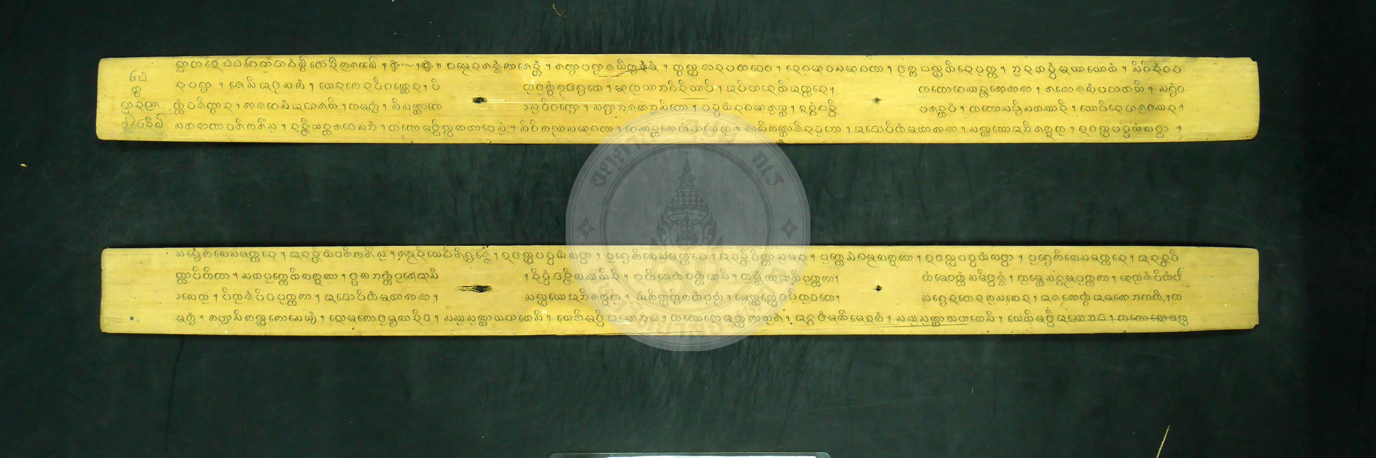 P1240659