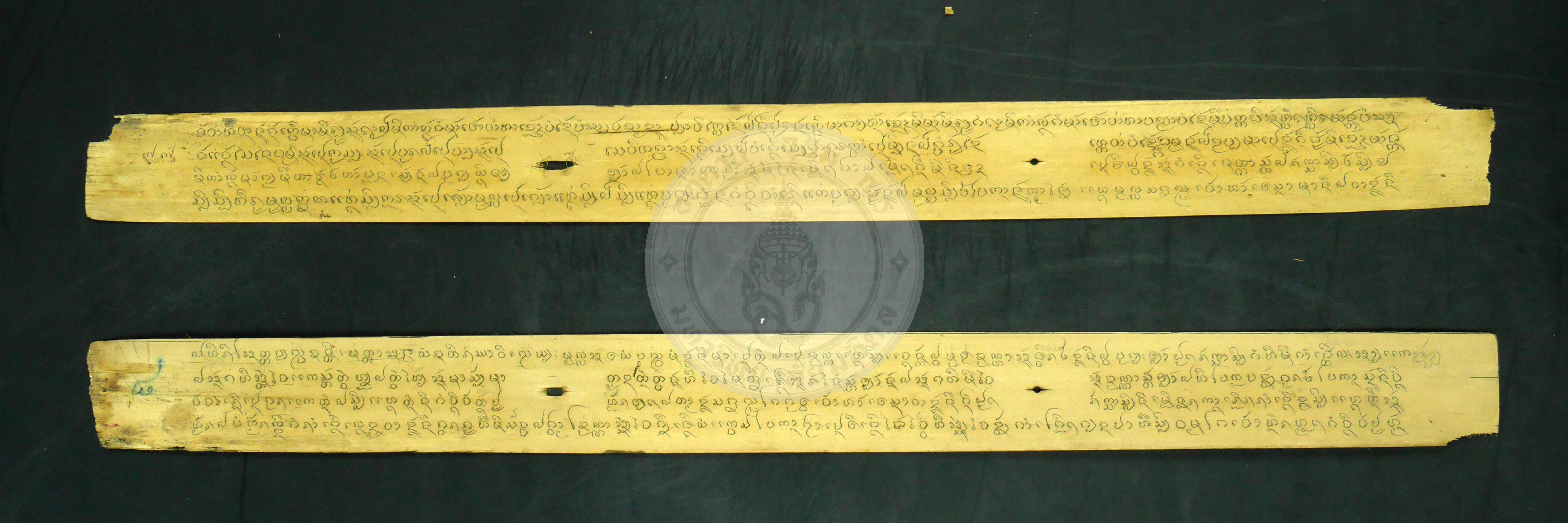 P1230460