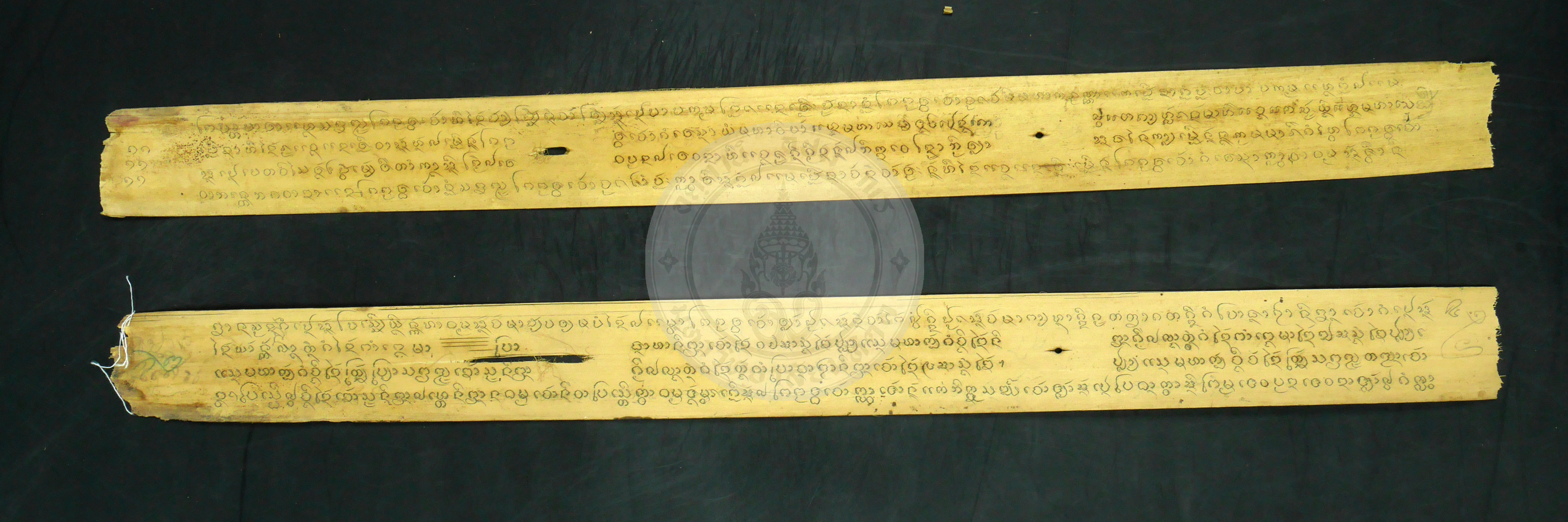 P1230464
