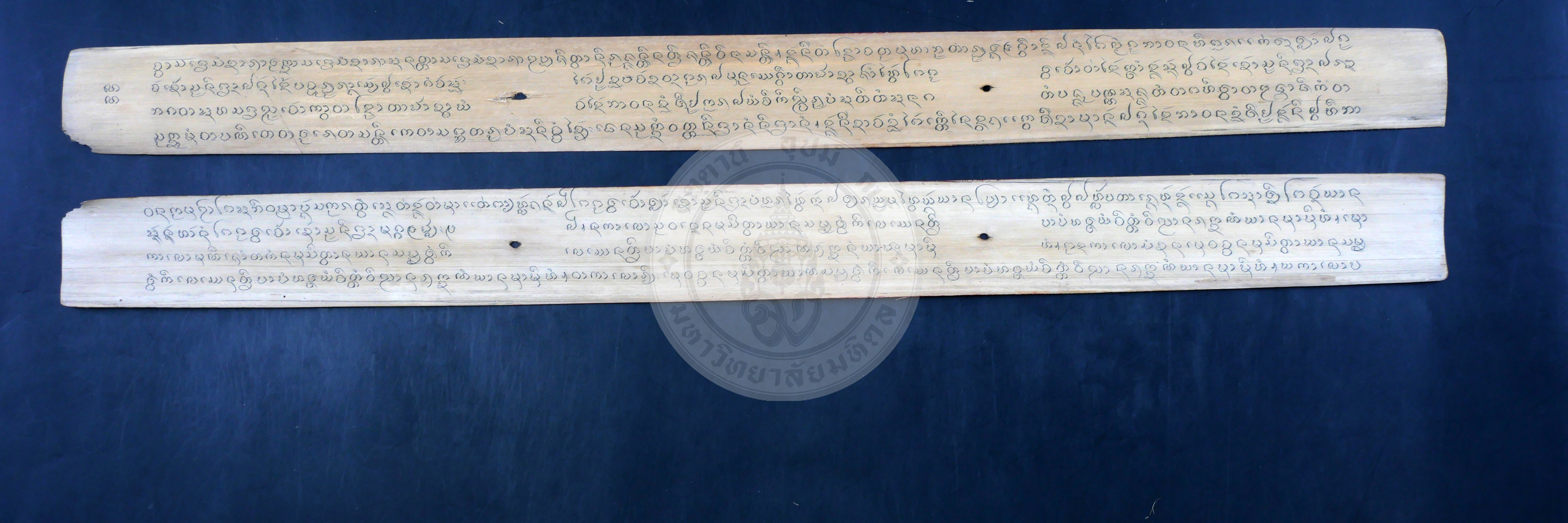 P1055104