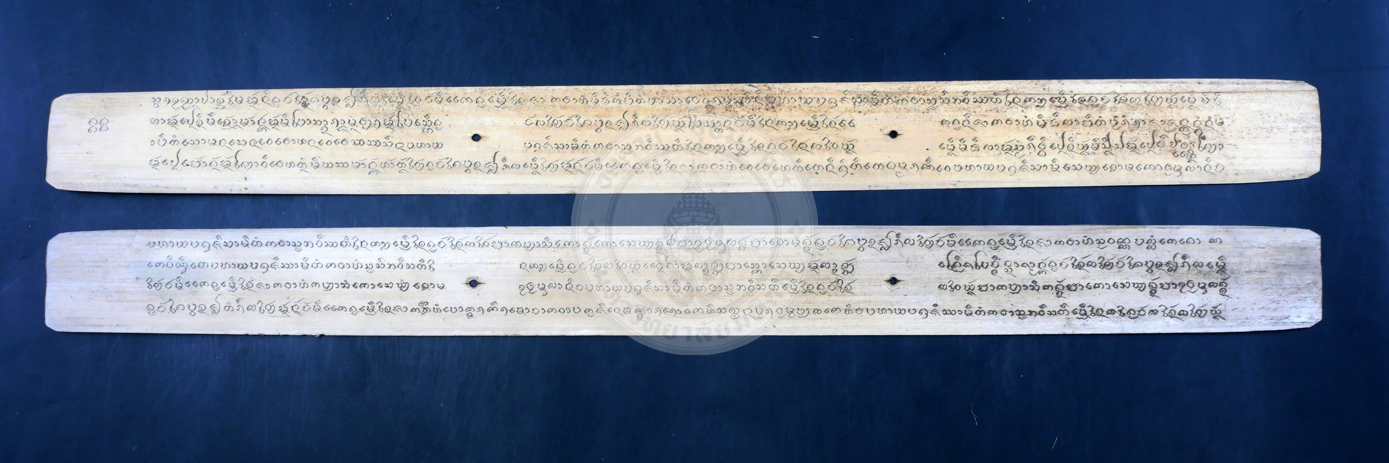 P1055021