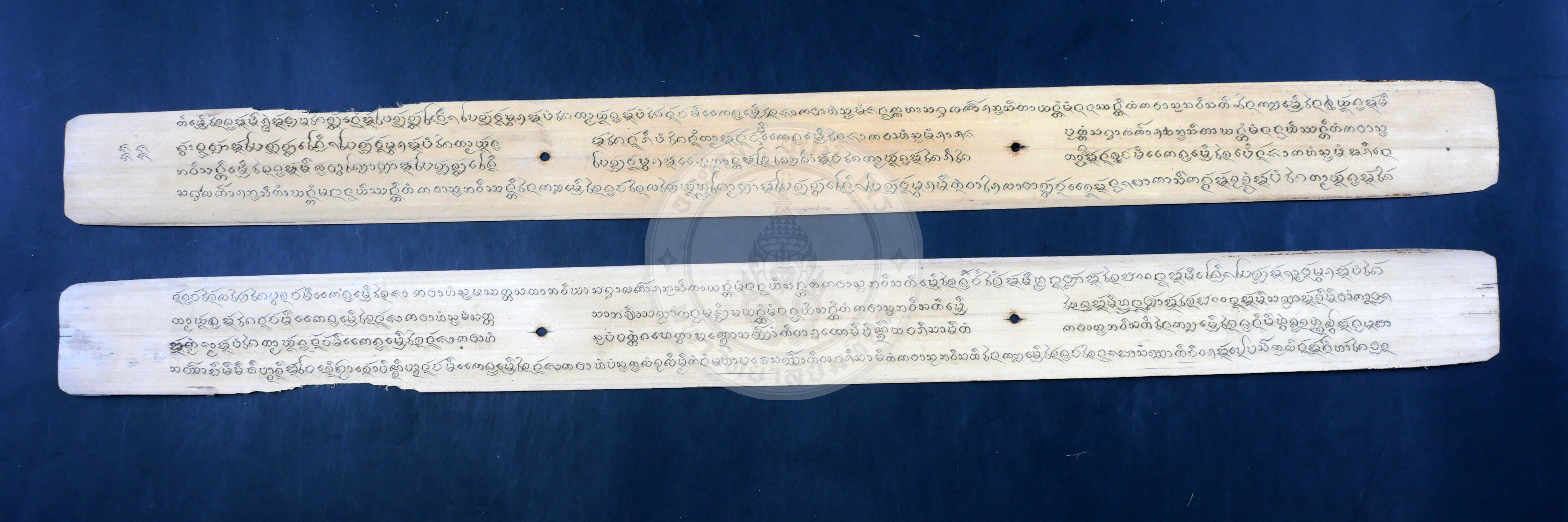 P1055026