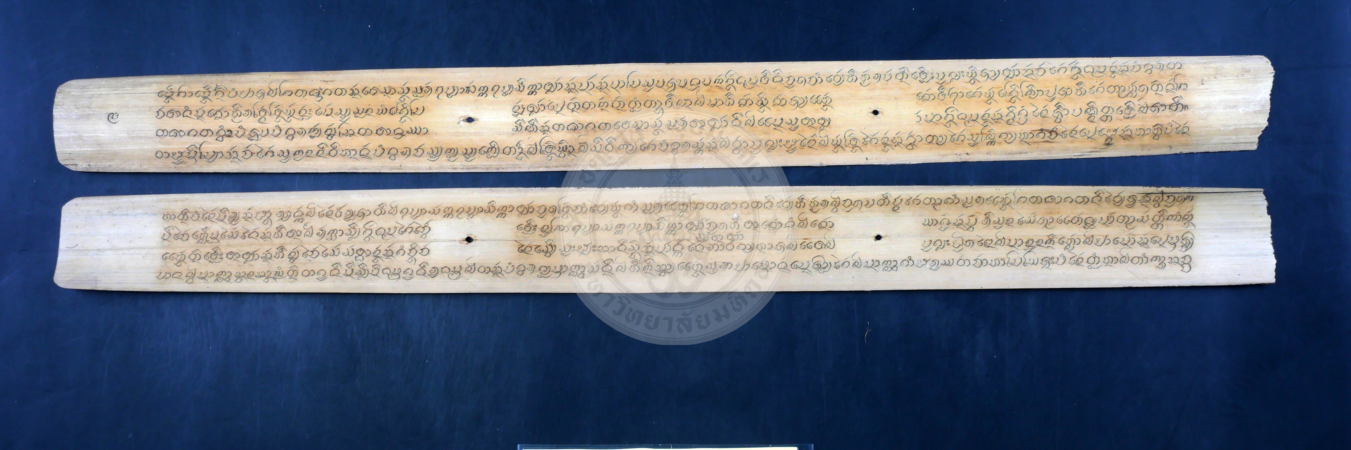 P1055058