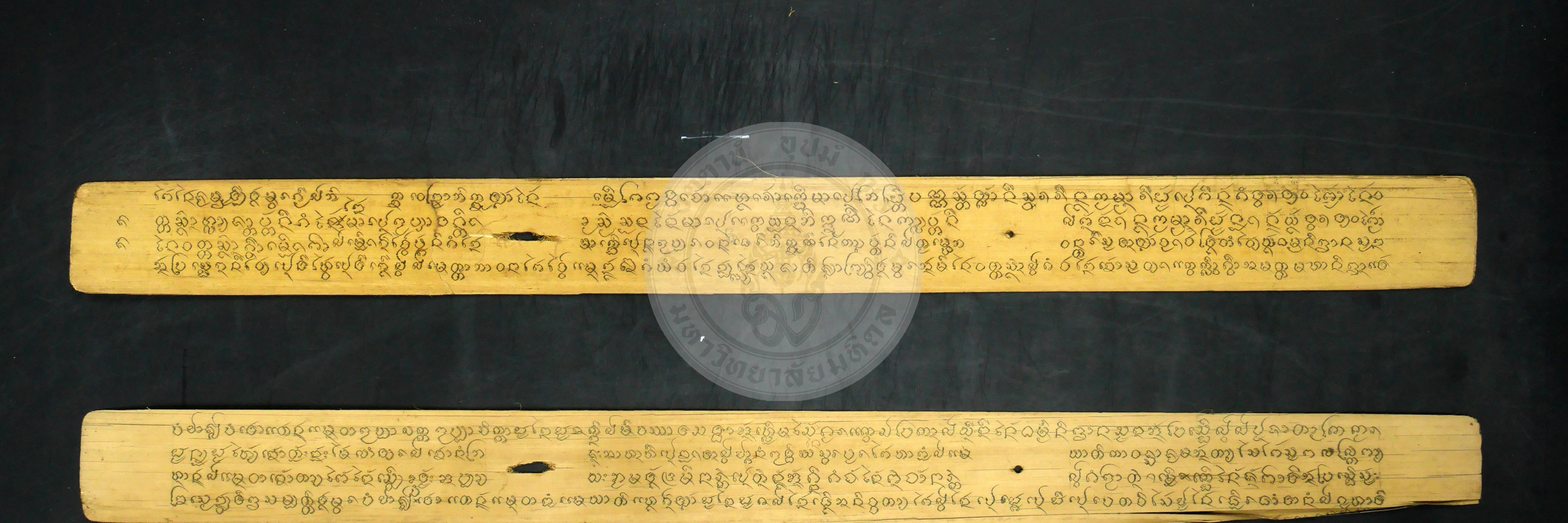 P1230956