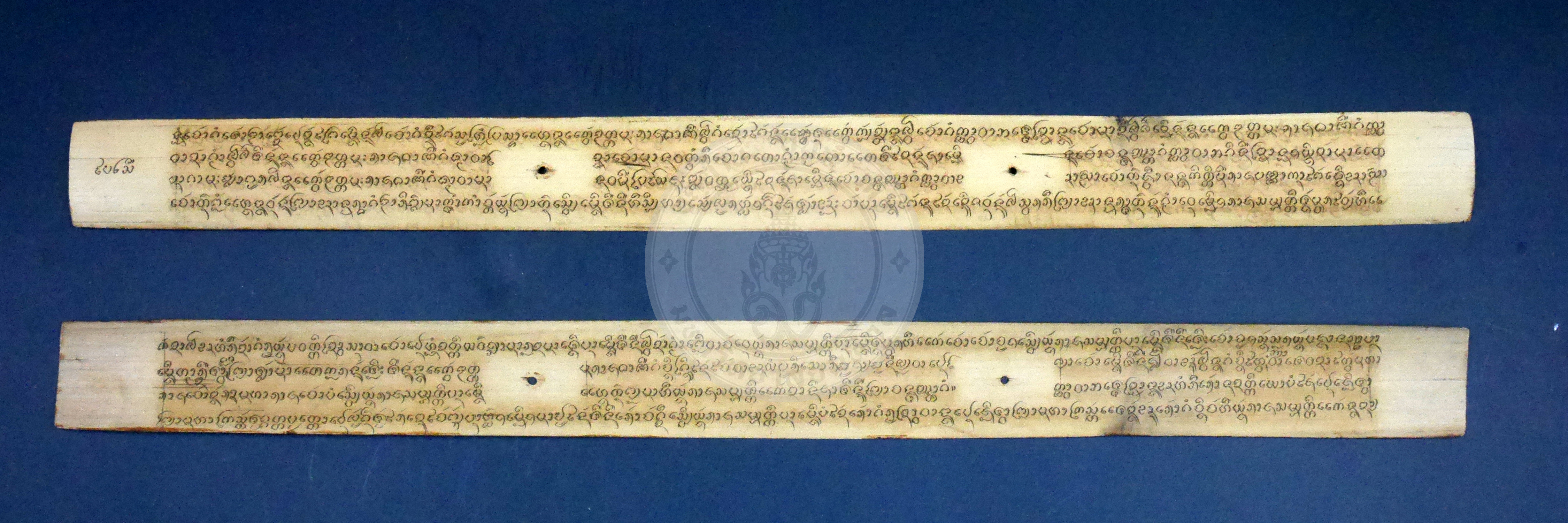 P1170153