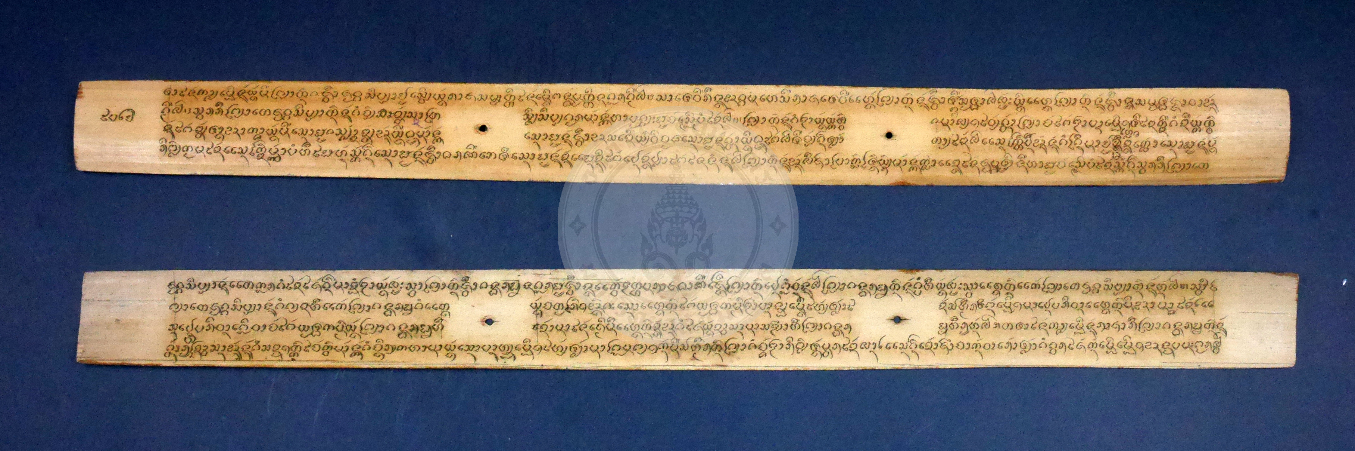 P1170155