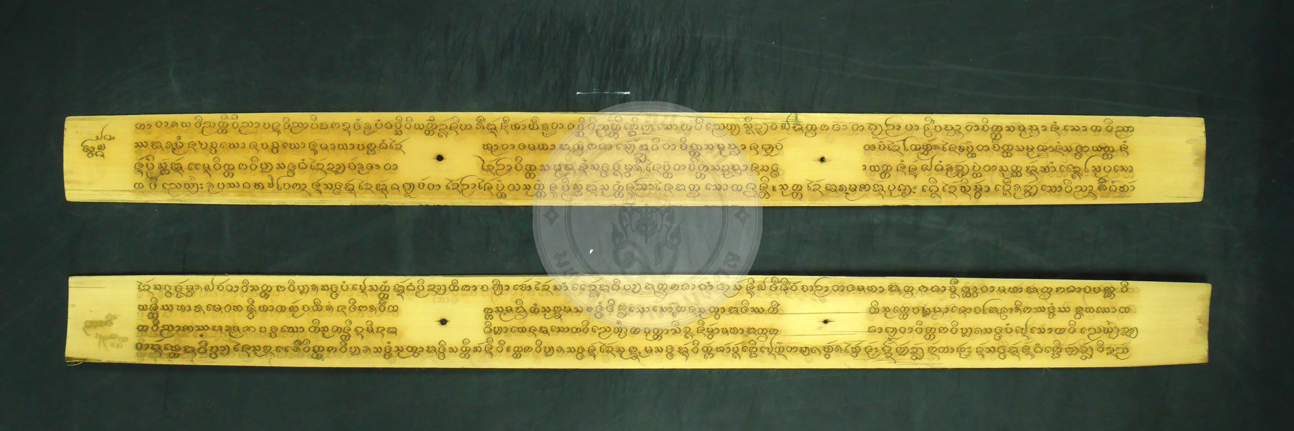 P1240272