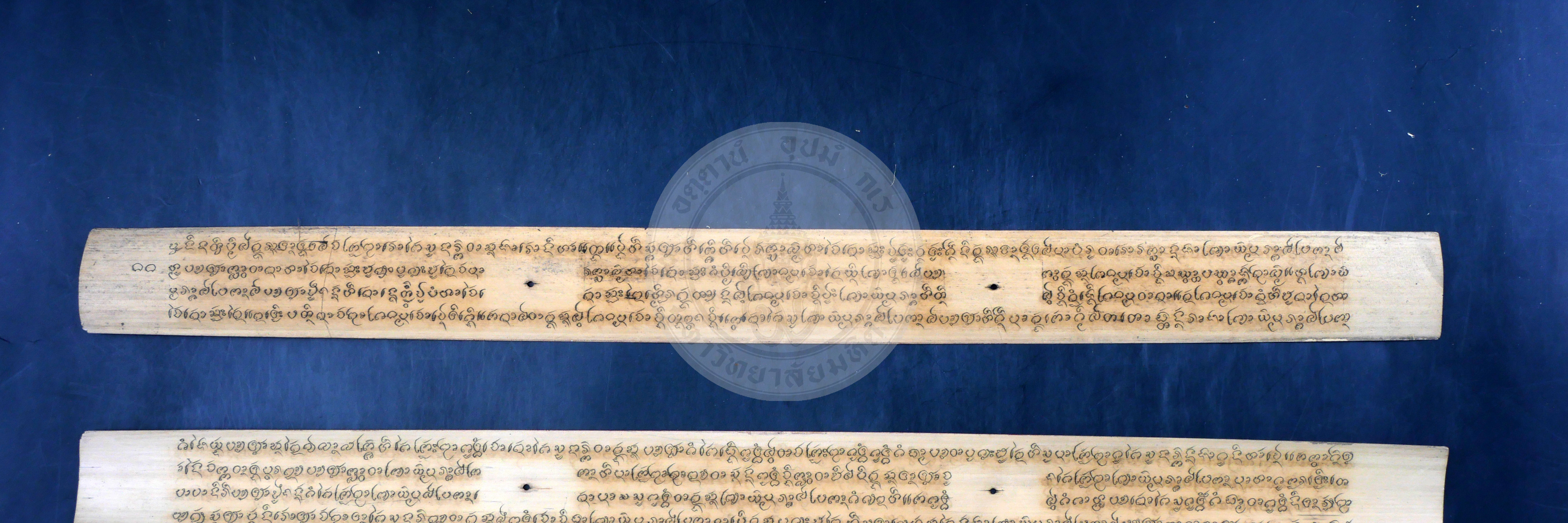 P1044392