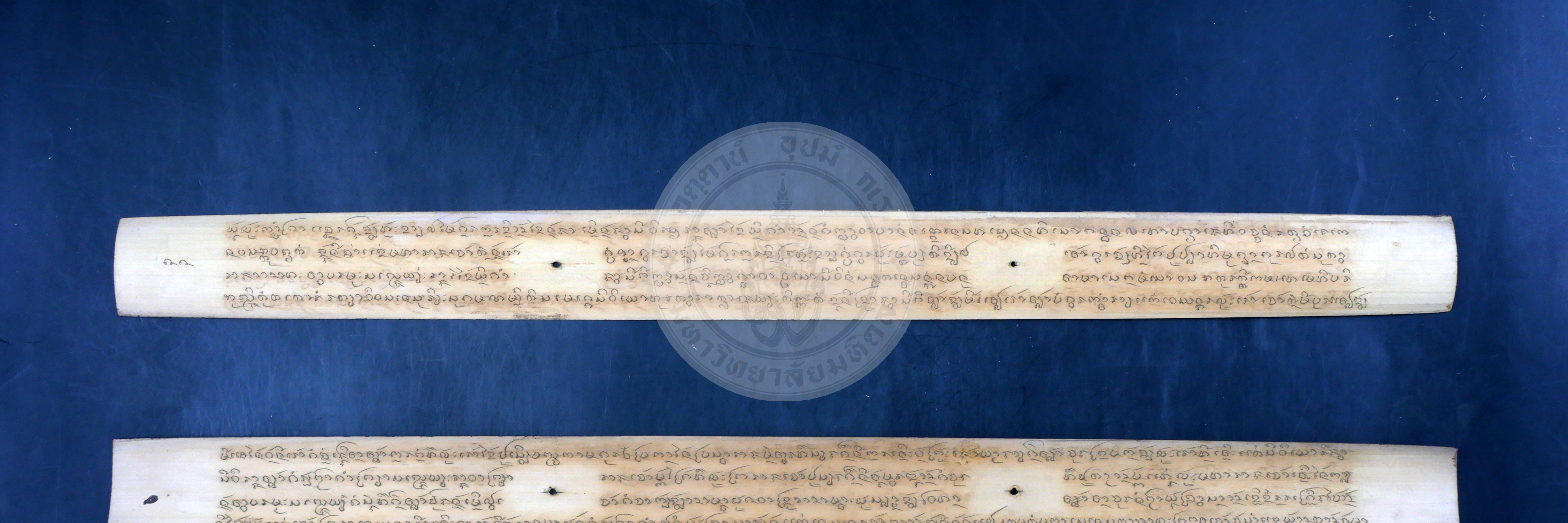 P1044271