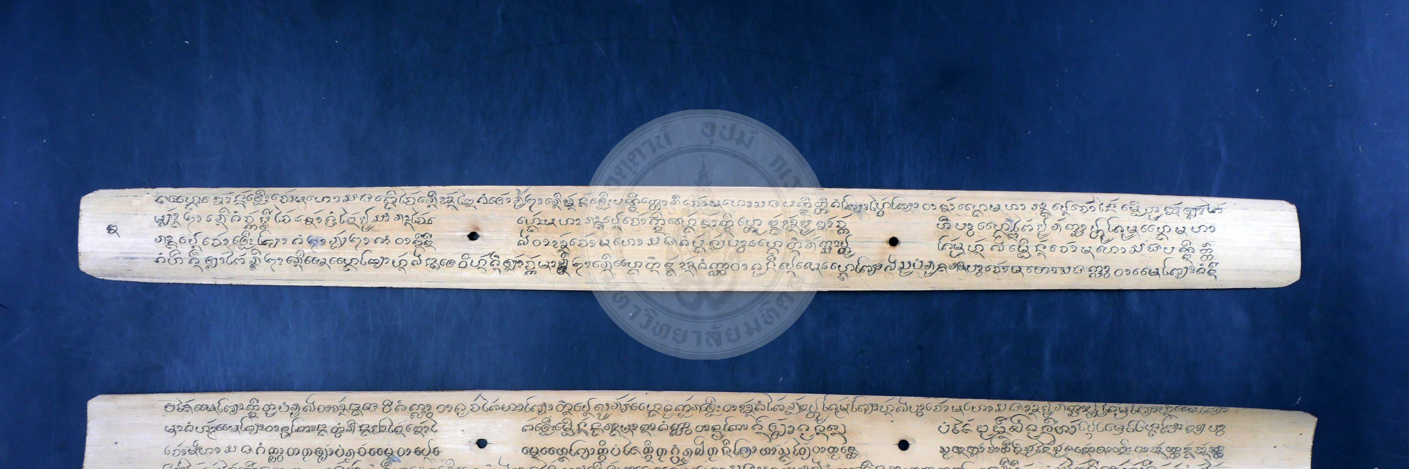 P1044291