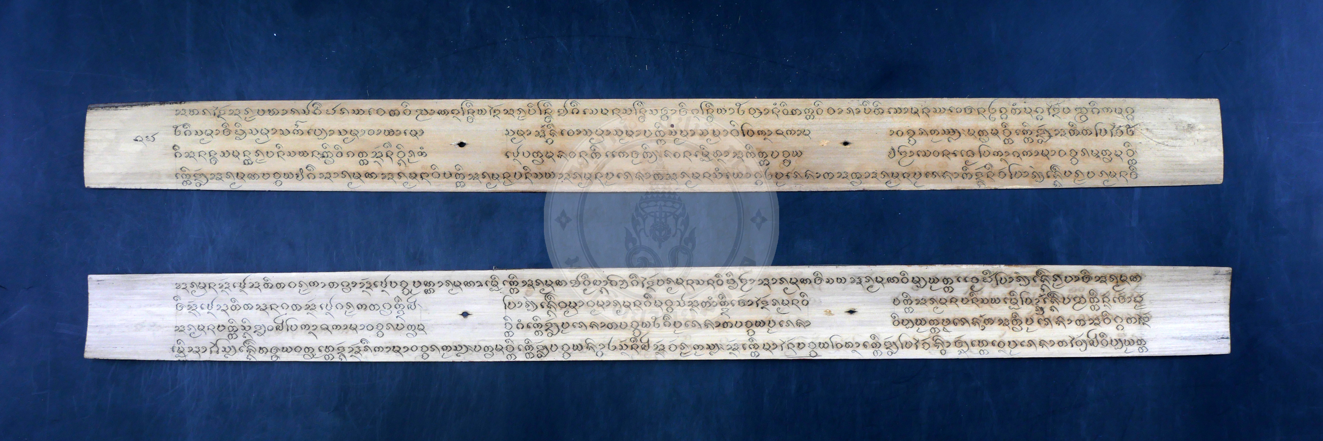 P1043961