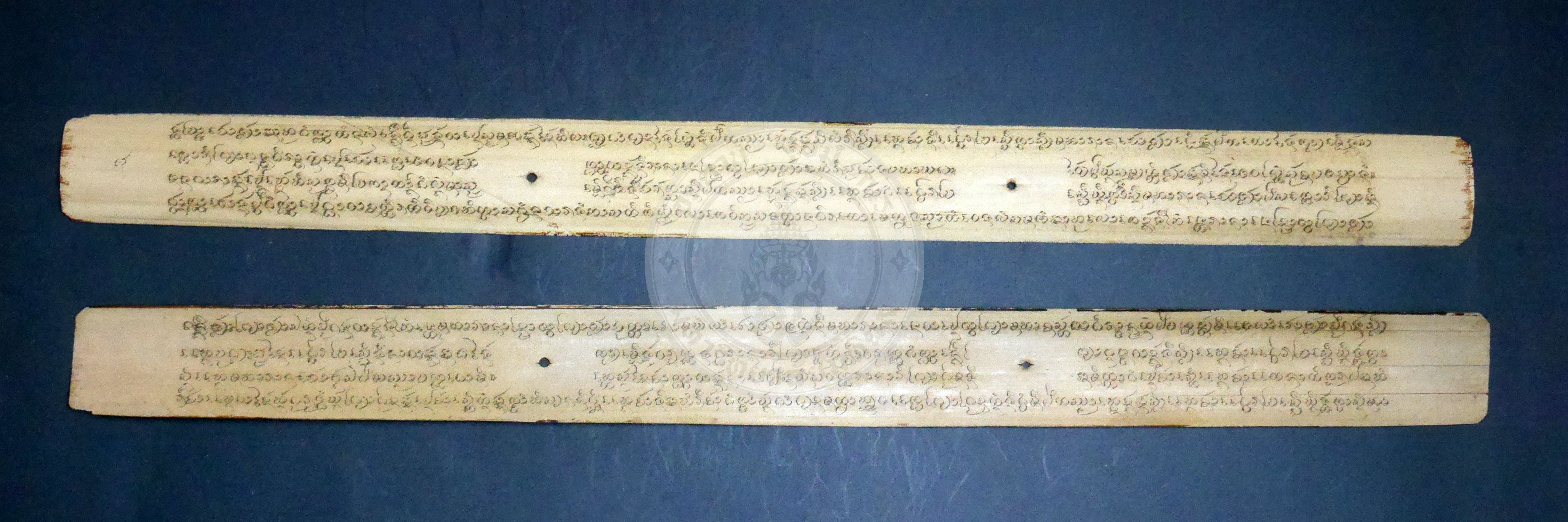 P1170502