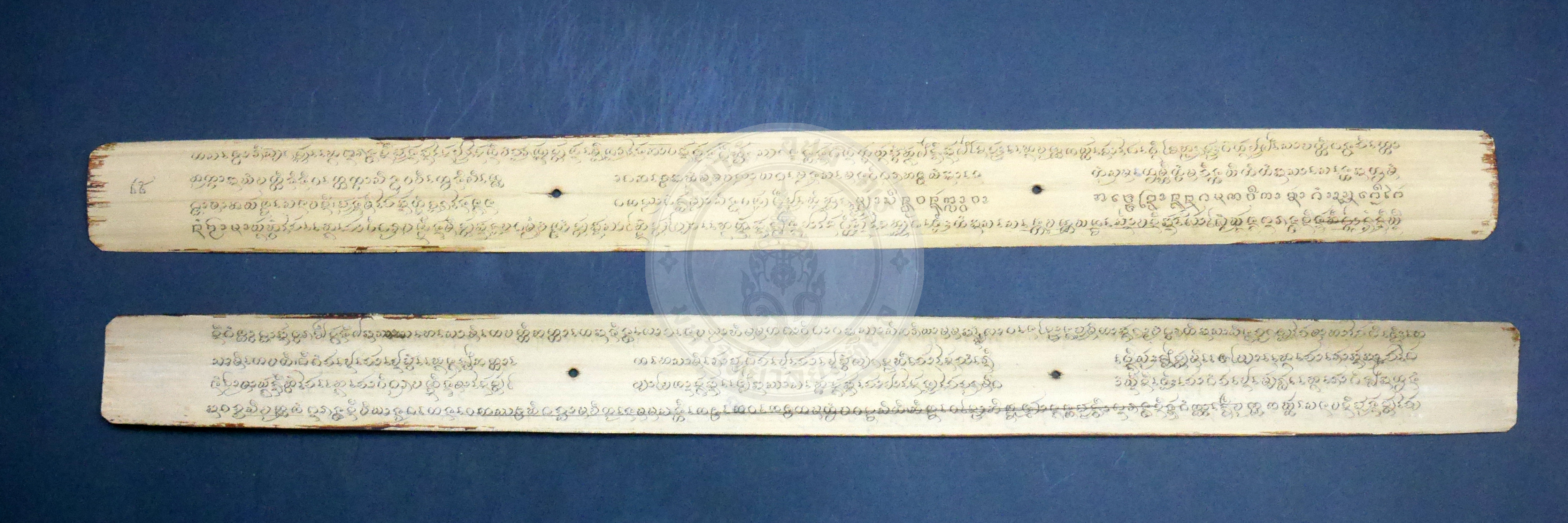 P1170519
