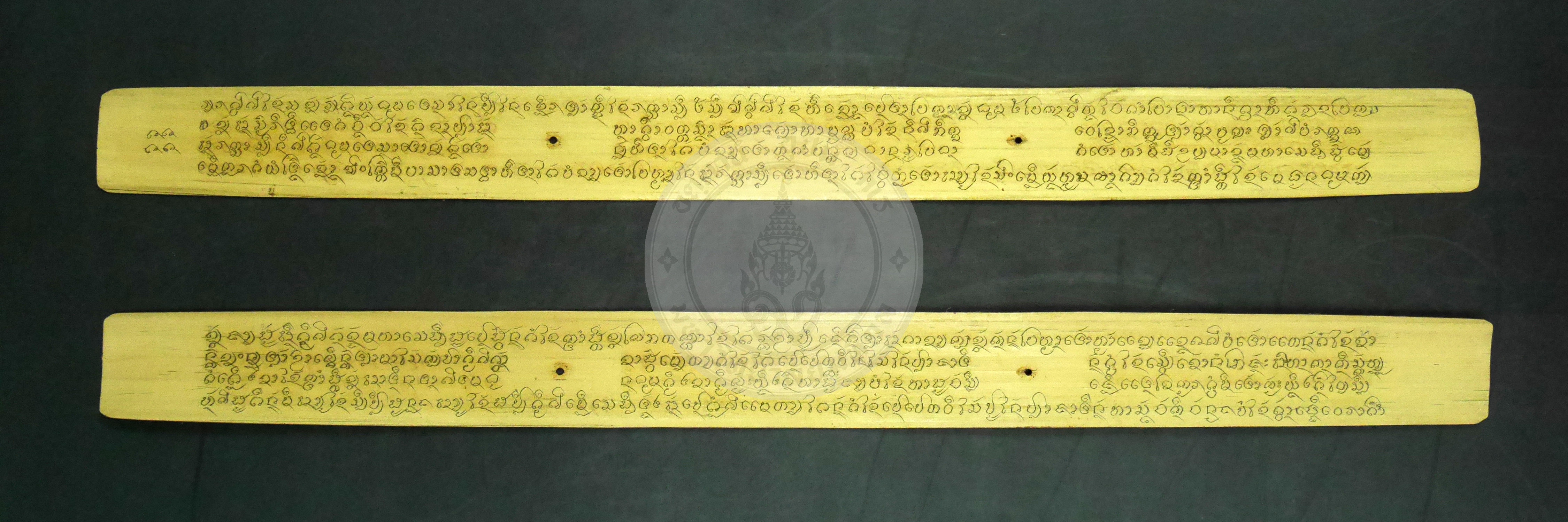 P1230113
