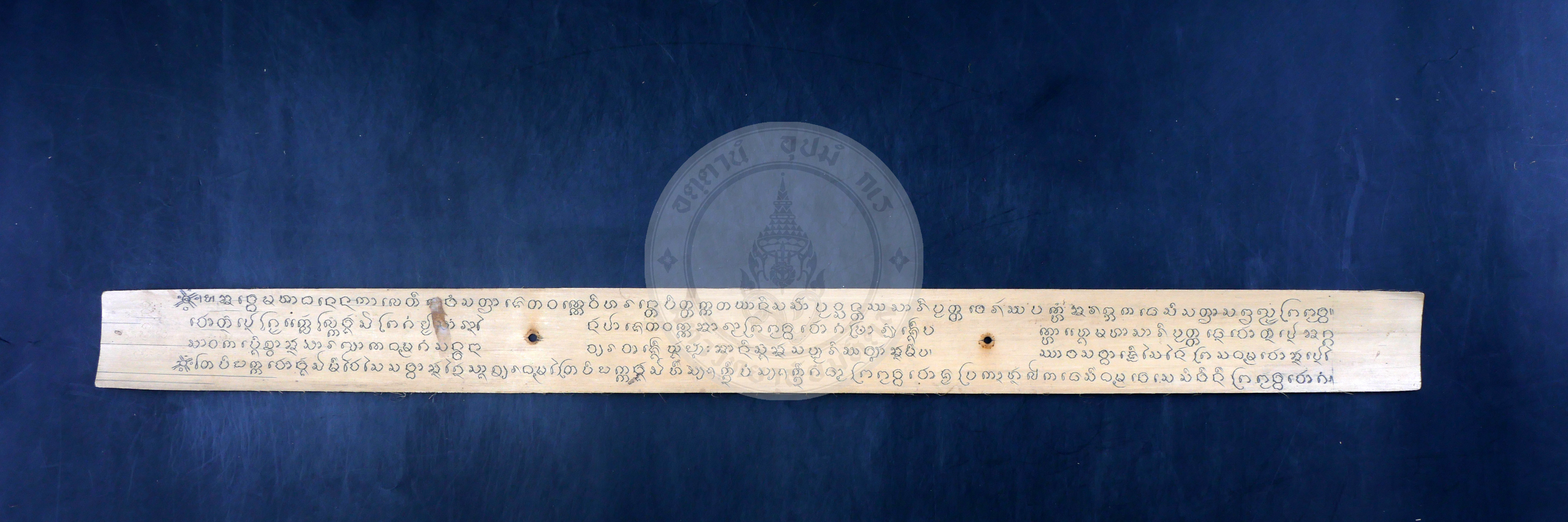 P1044205