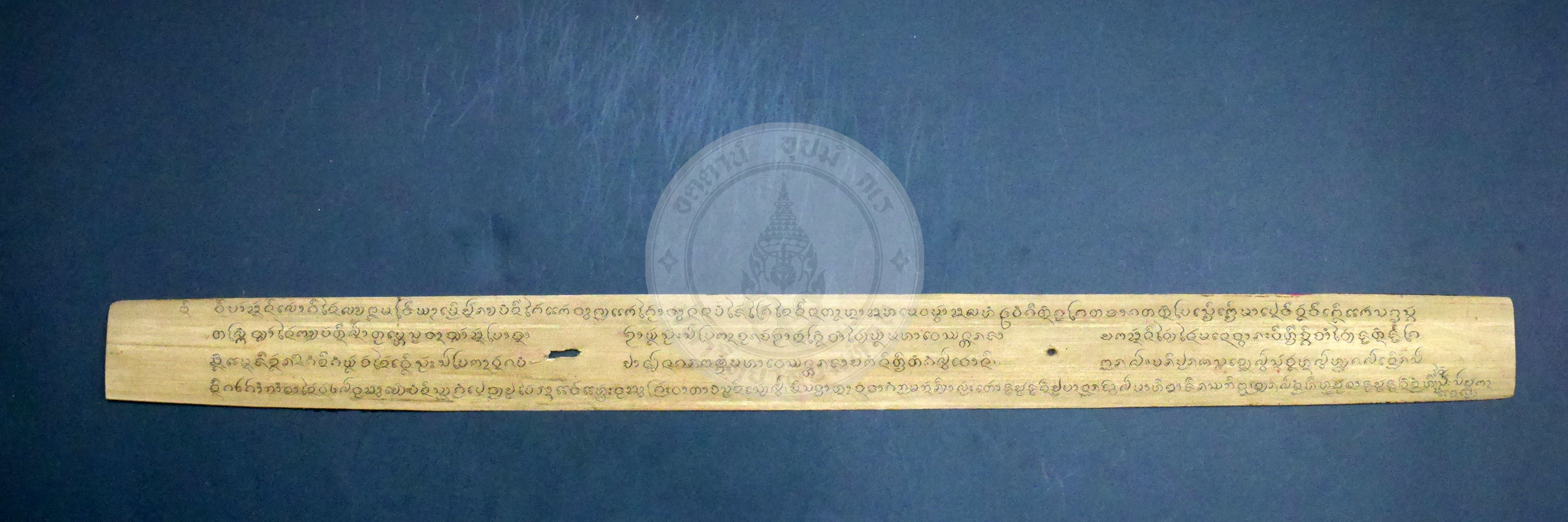 P1170549