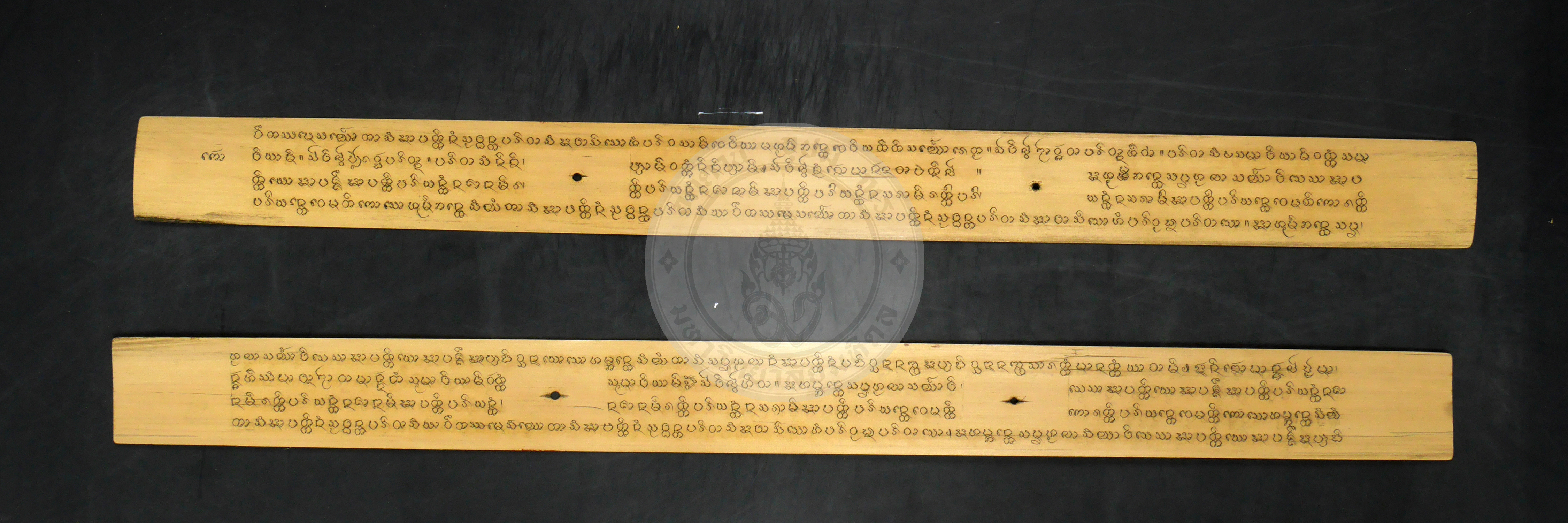 P1240205
