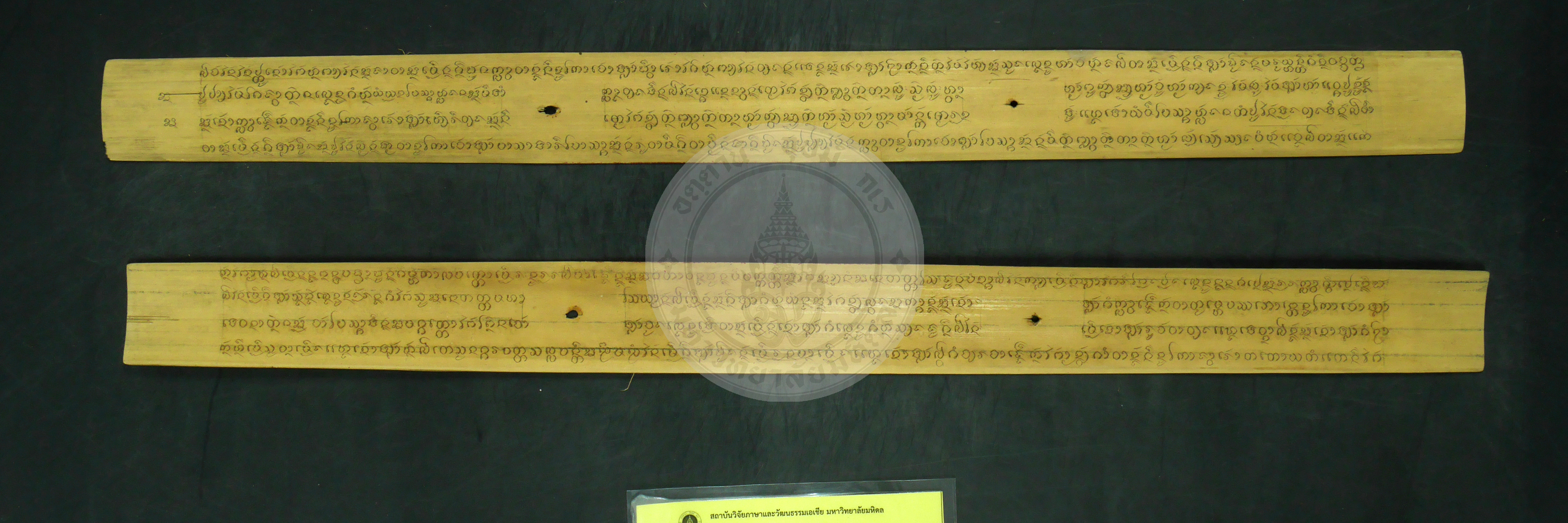 P1240279