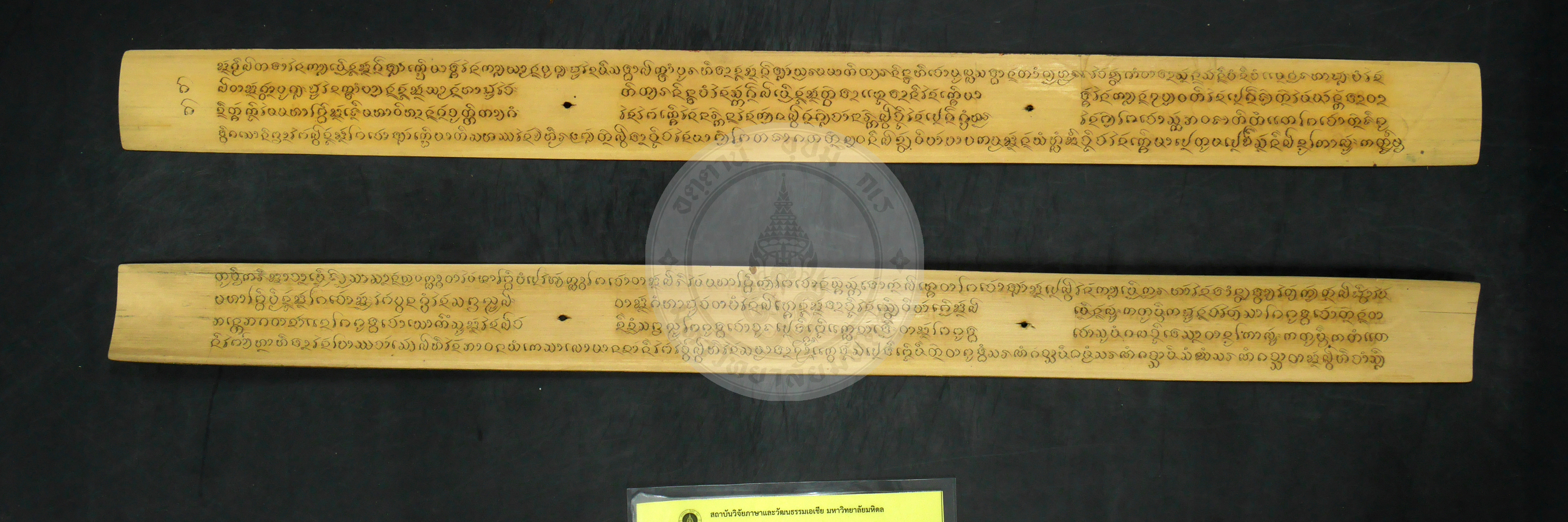 P1240290