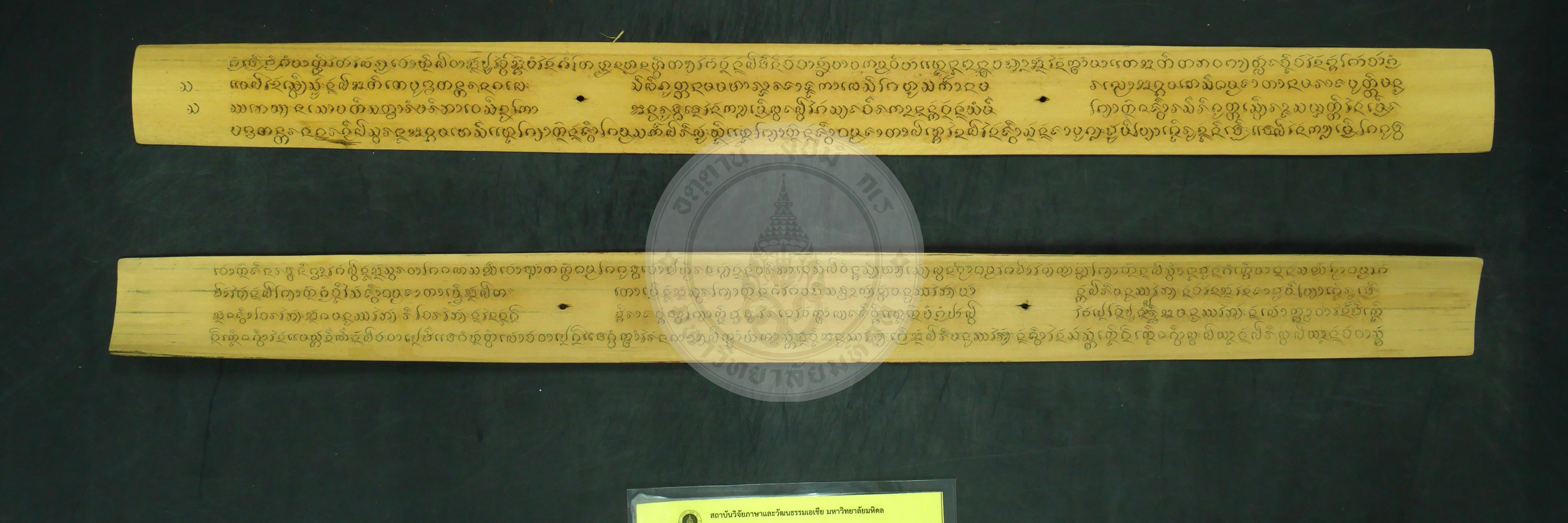 P1240293