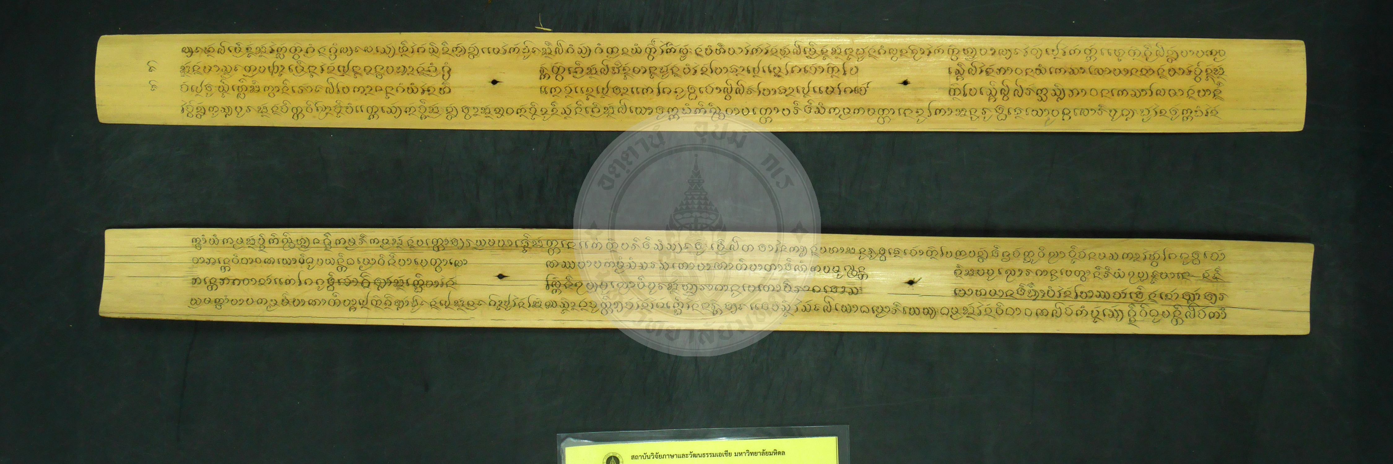 P1240295