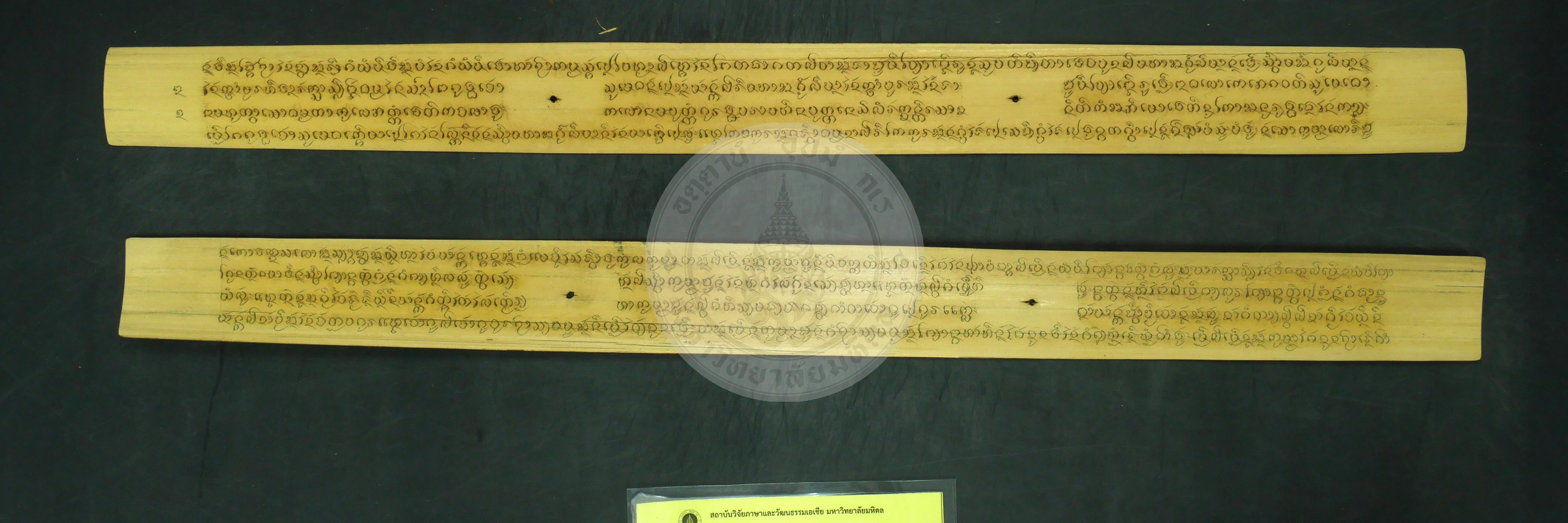 P1240299