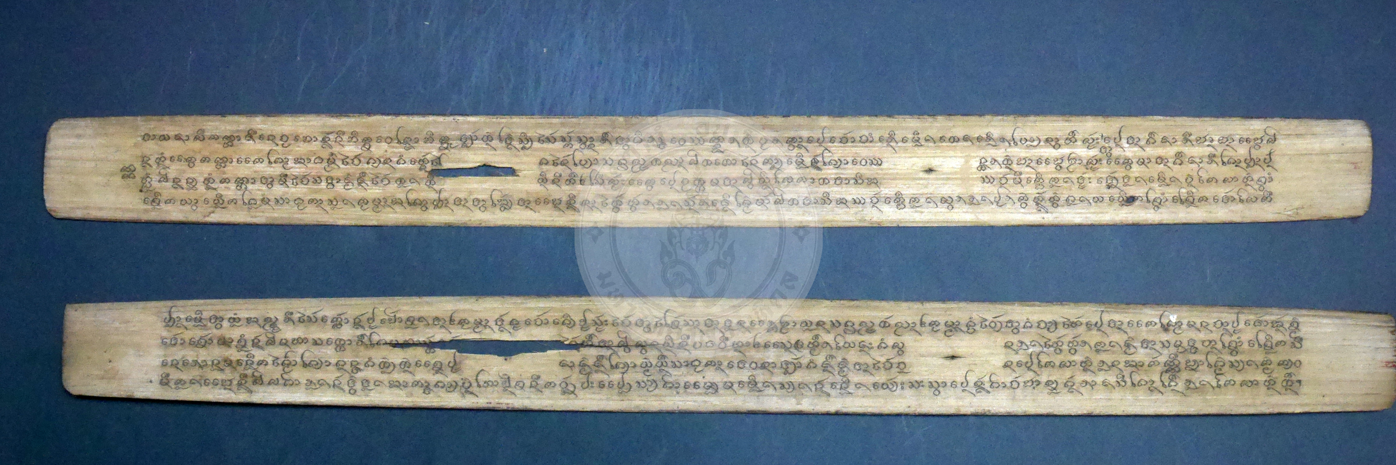 P1170600