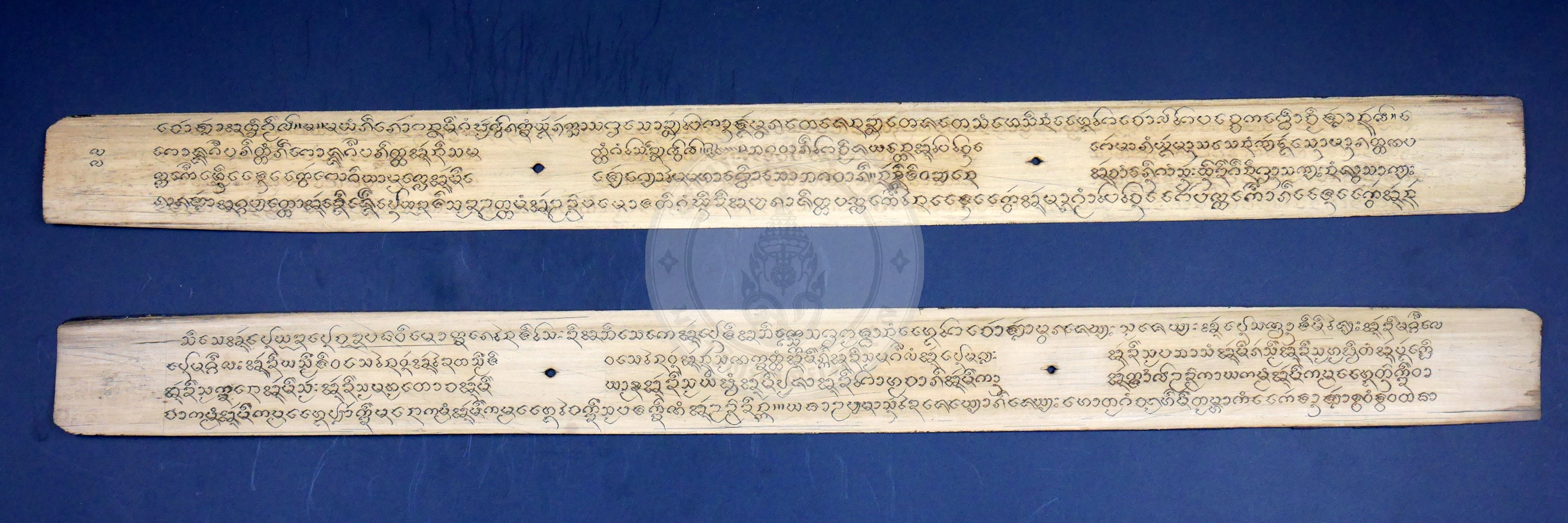 P1170196