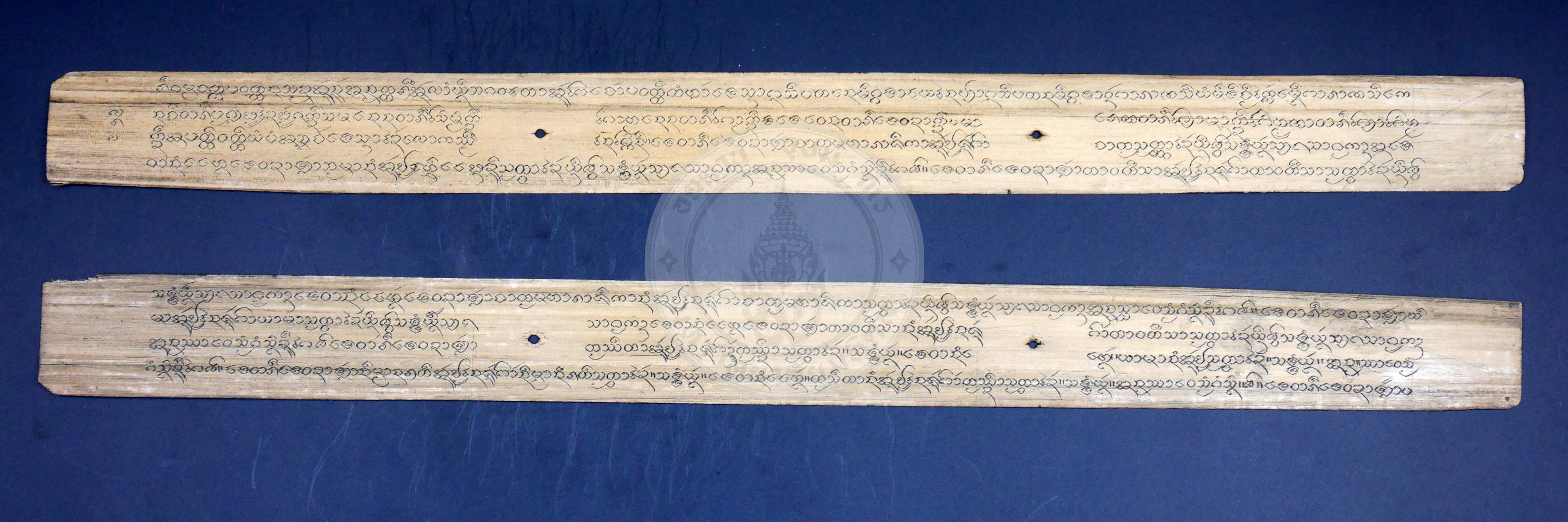 P1170251