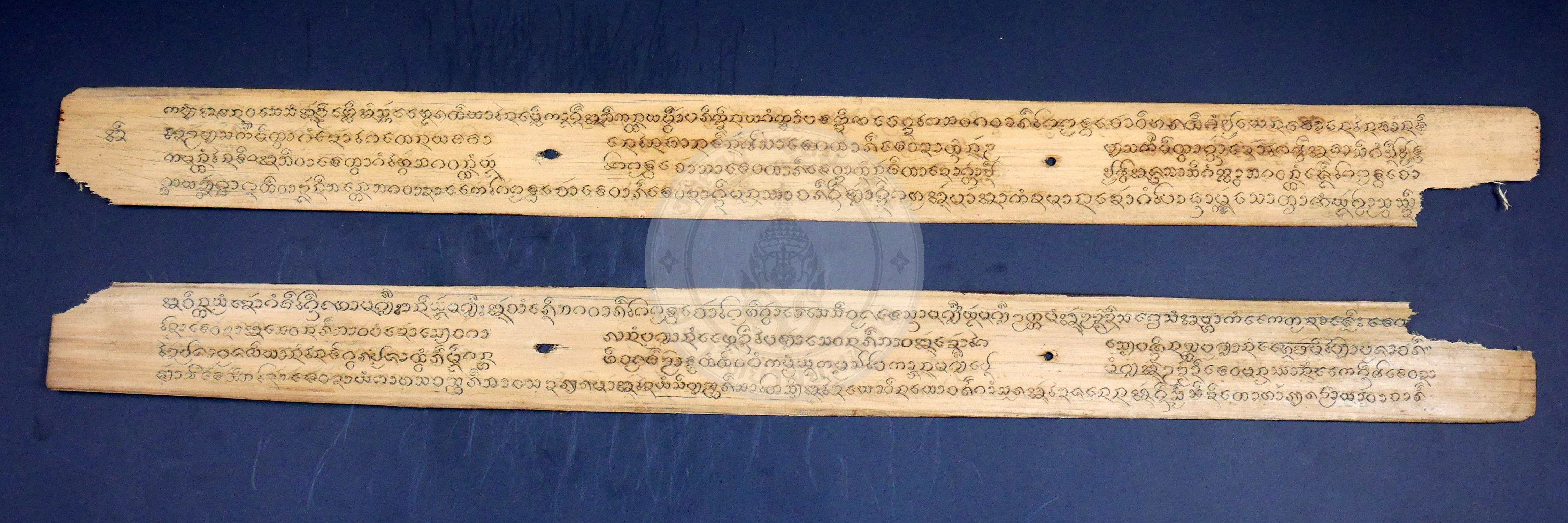 P1170261