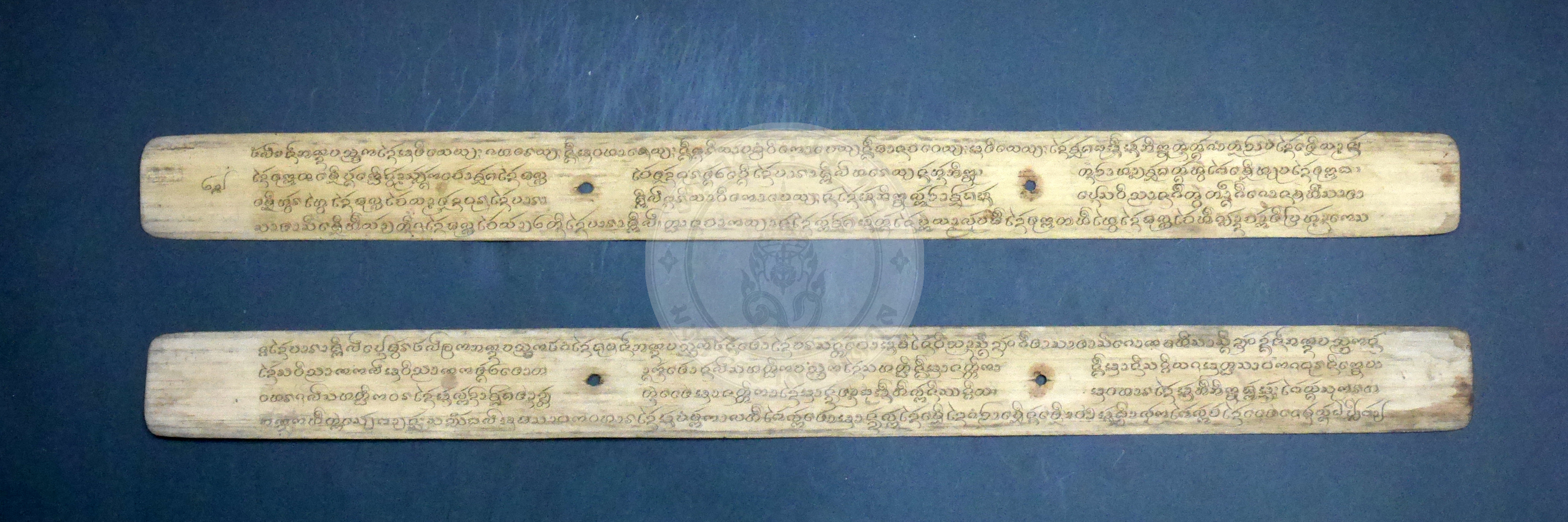 P1170558