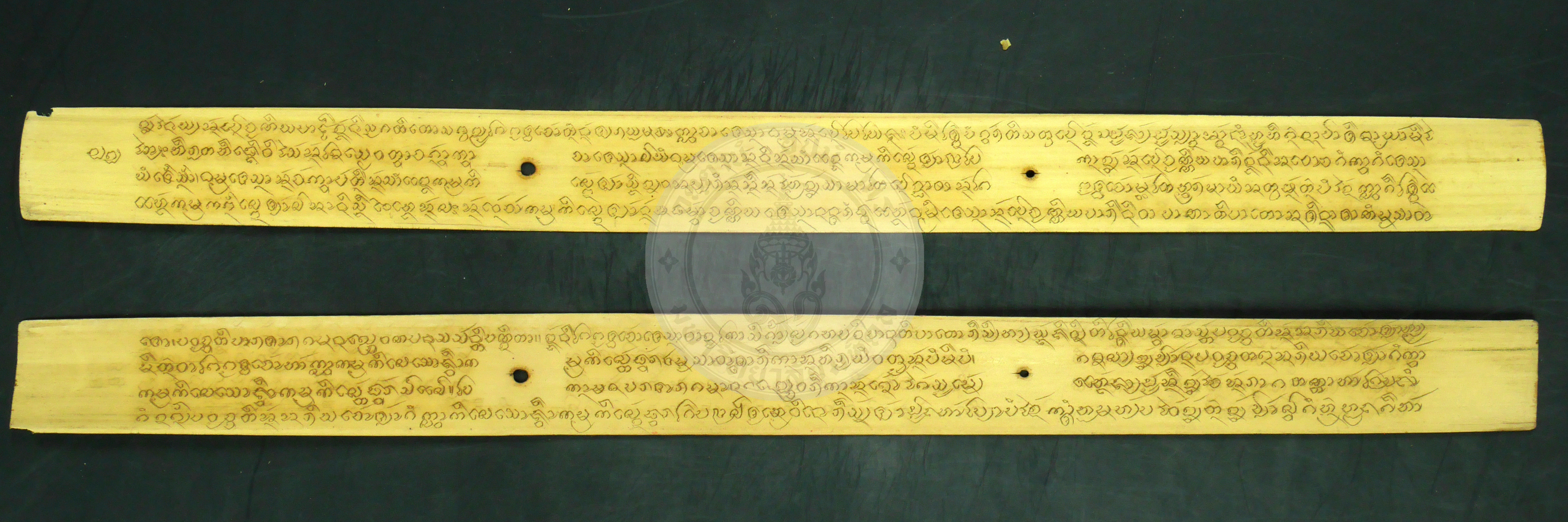 P1230548
