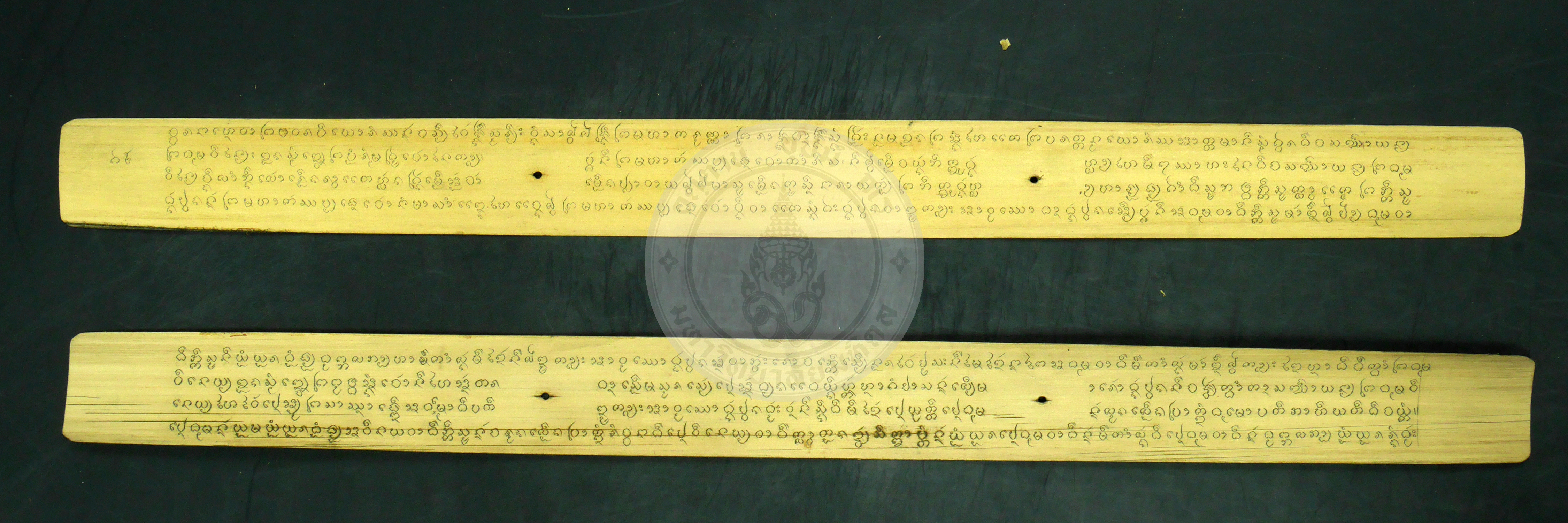 P1230558