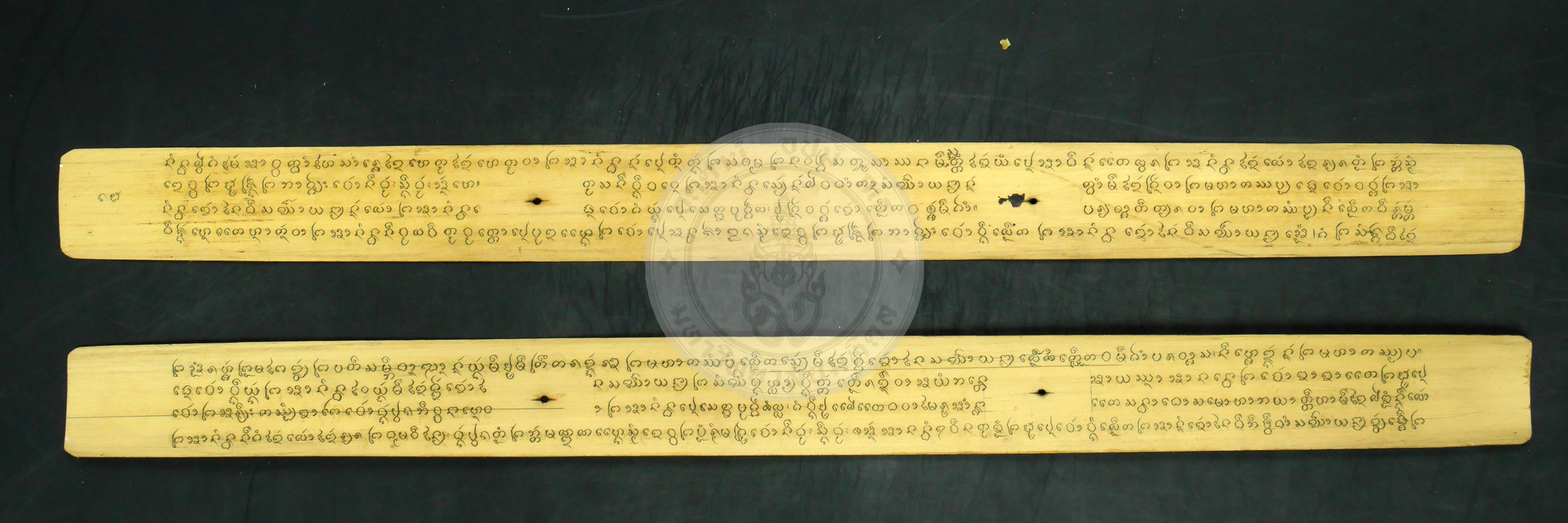 P1230560