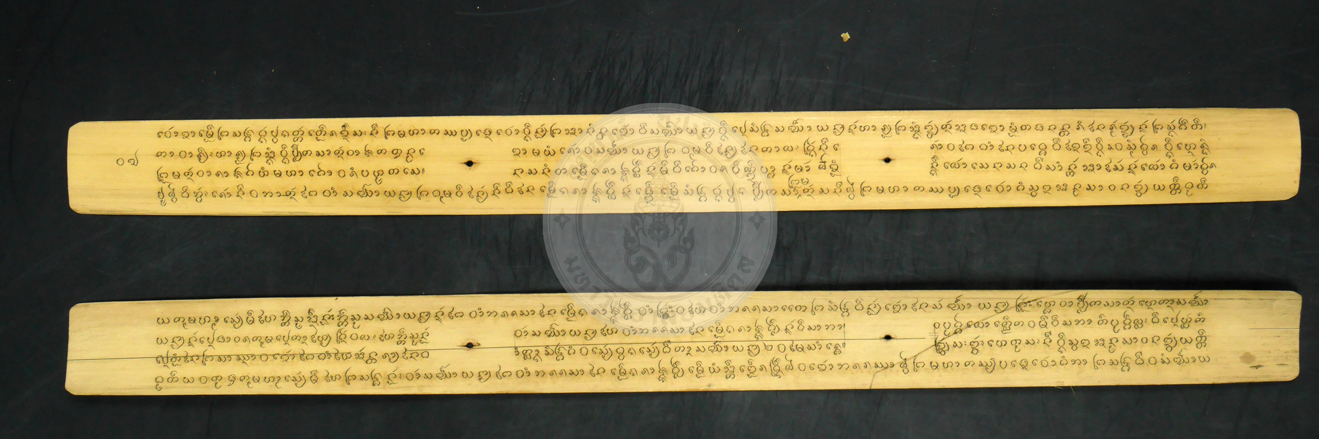 P1230561