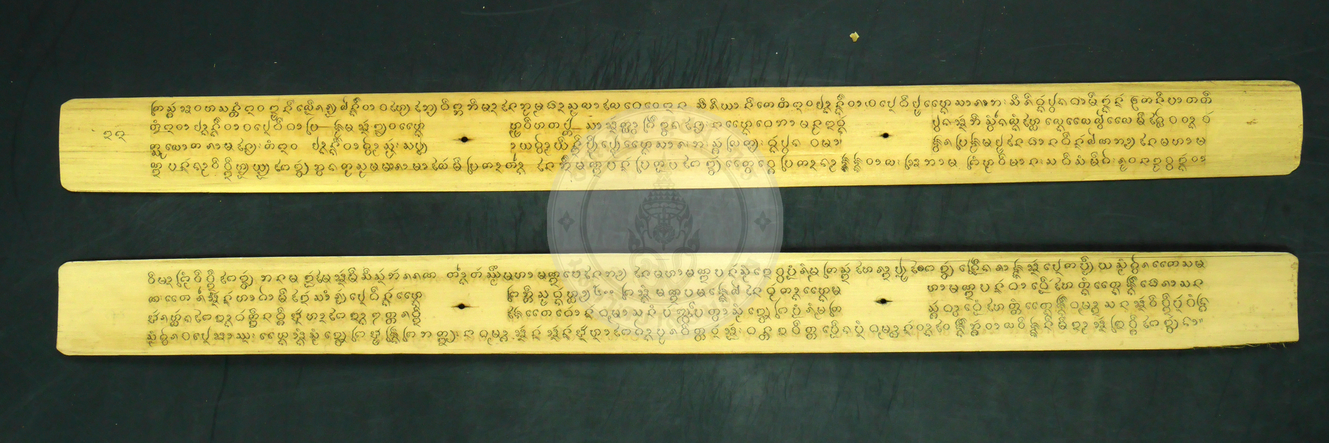 P1230568