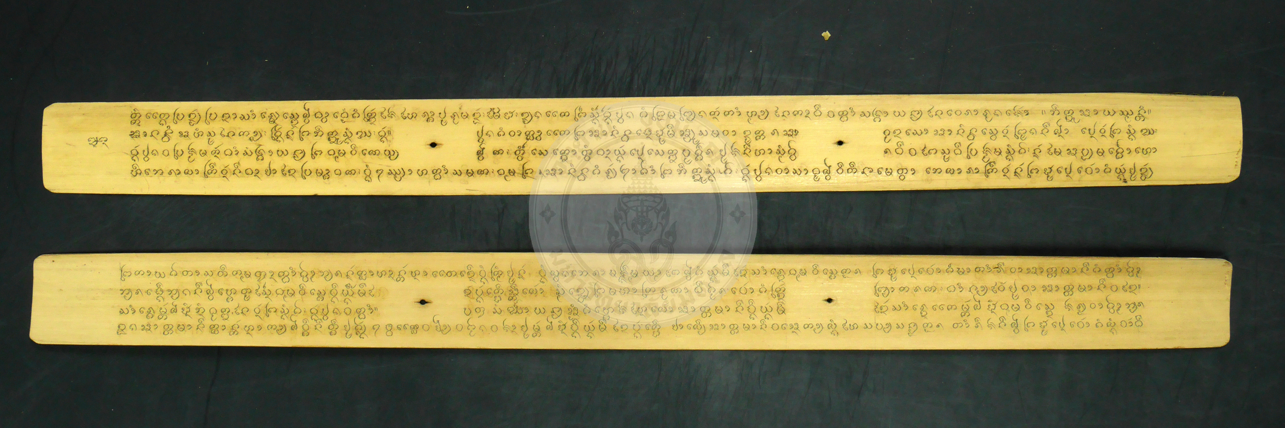 P1230569