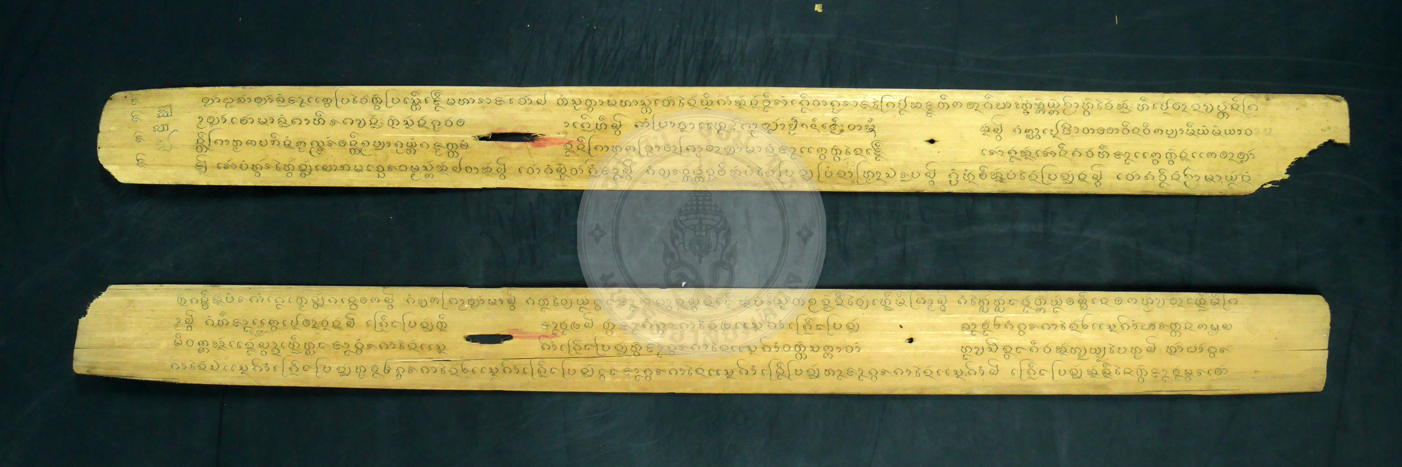 P1230502
