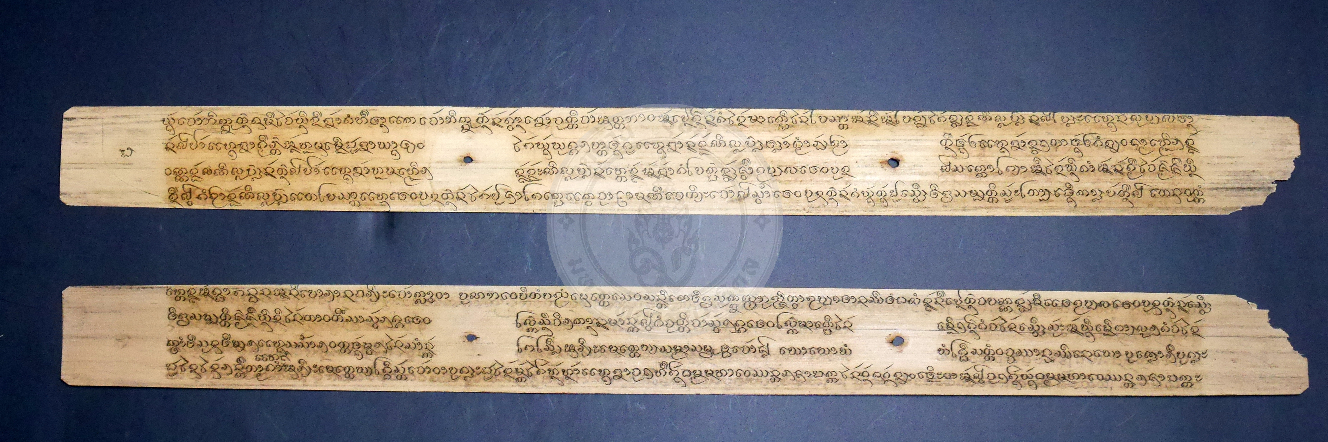 P1170291