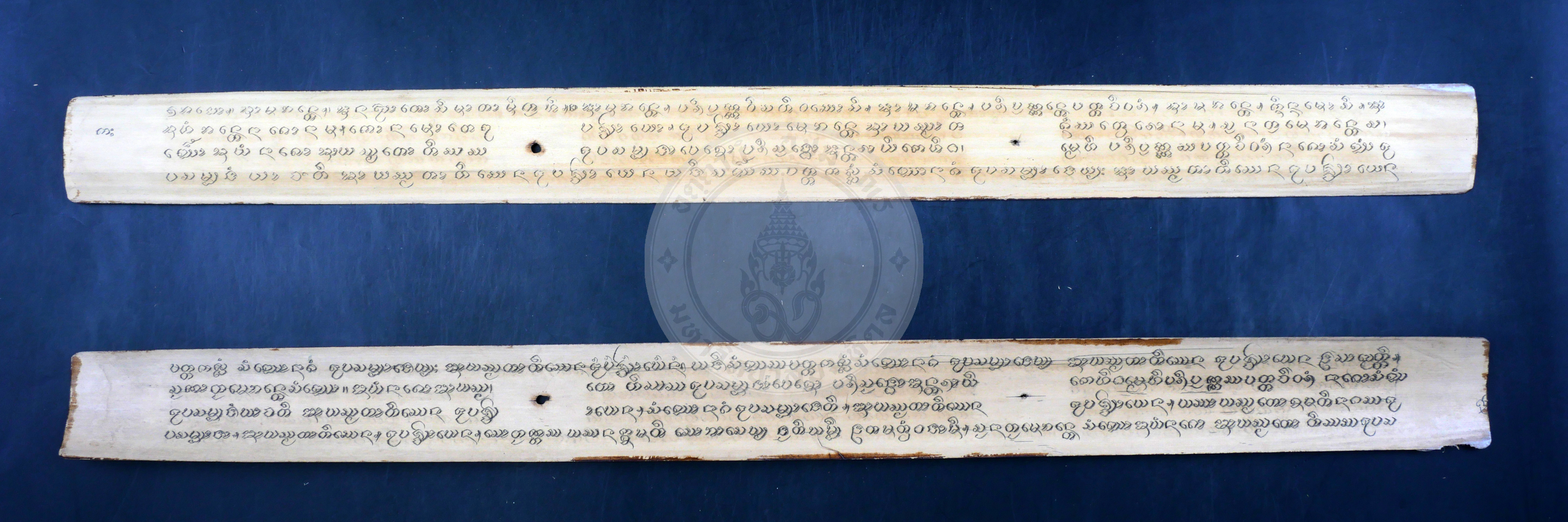 P1066067