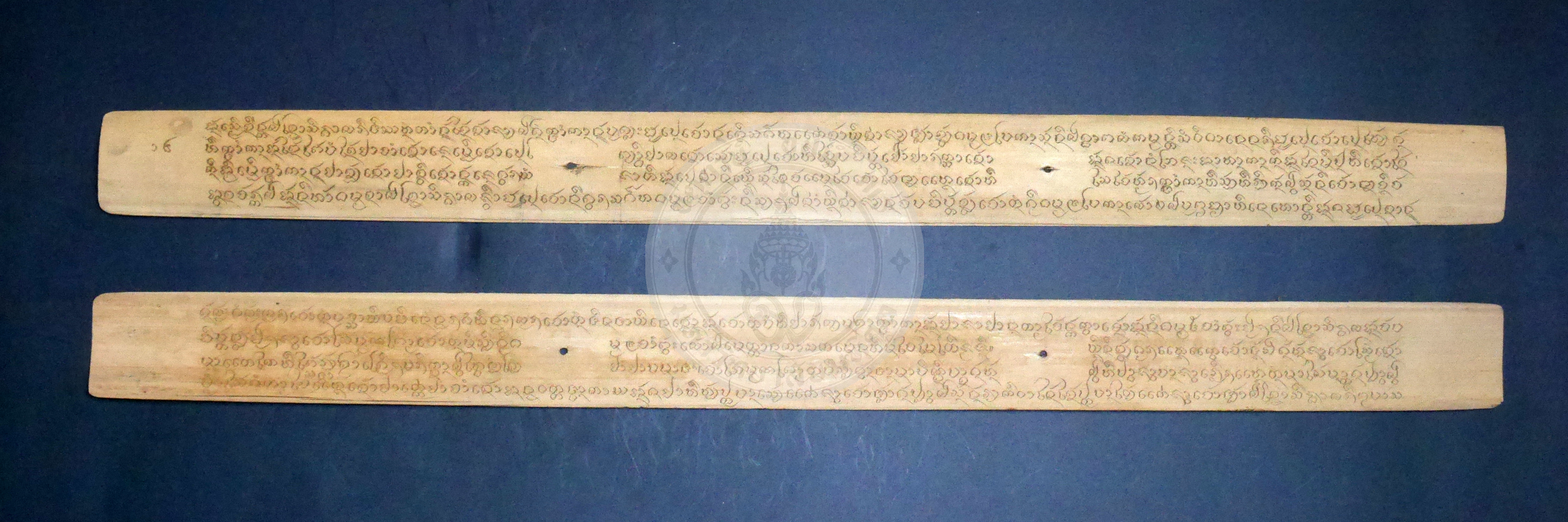 P1170319