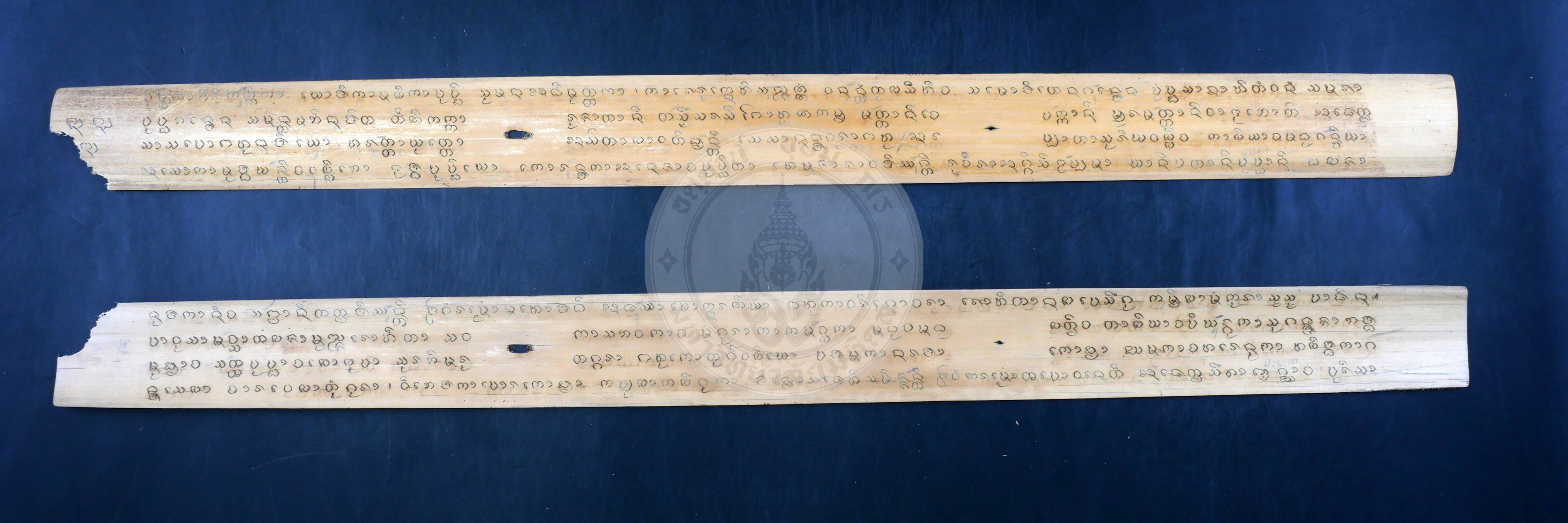 P1066089