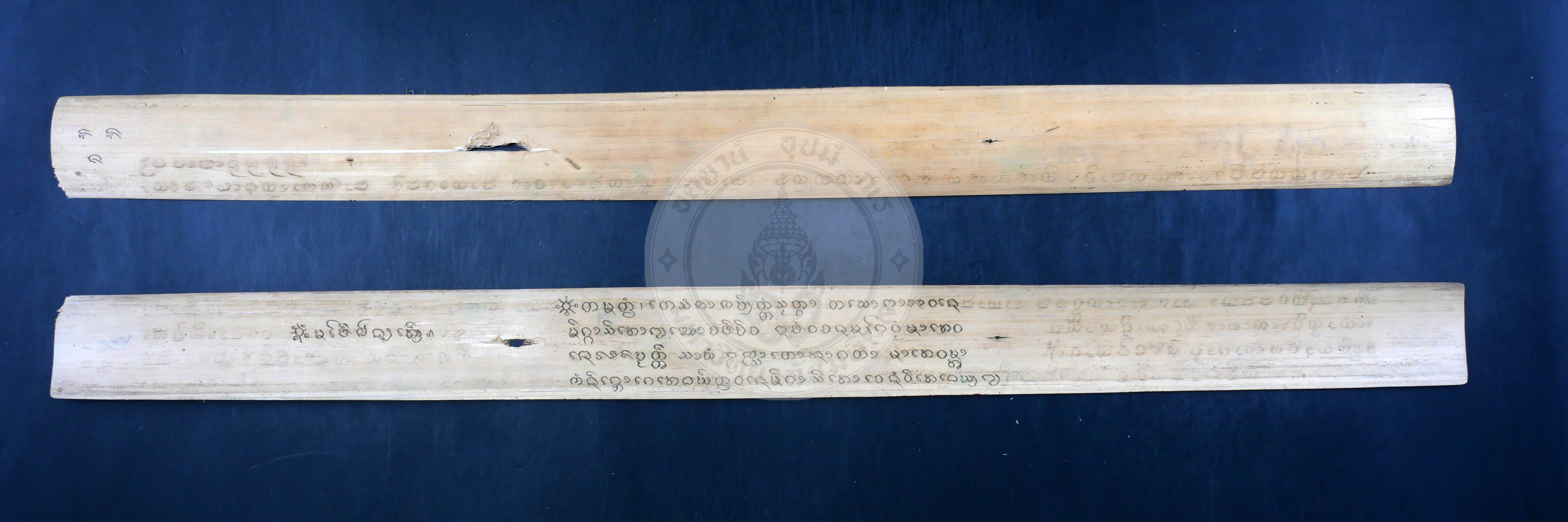 P1066101