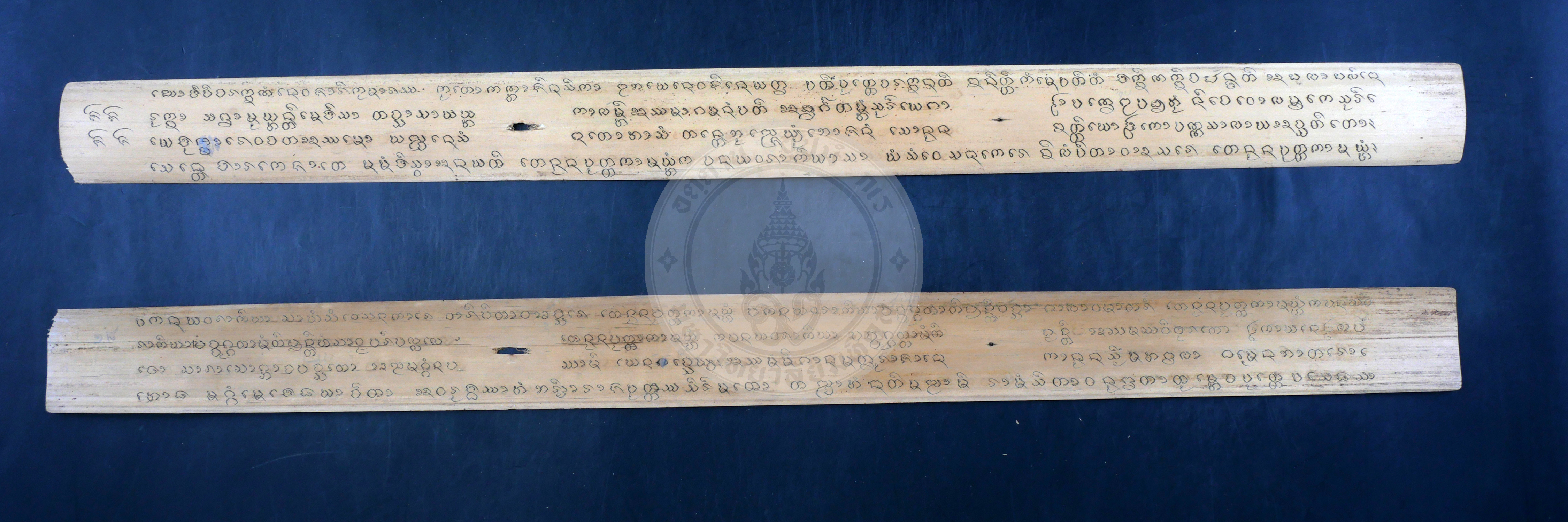 P1066102