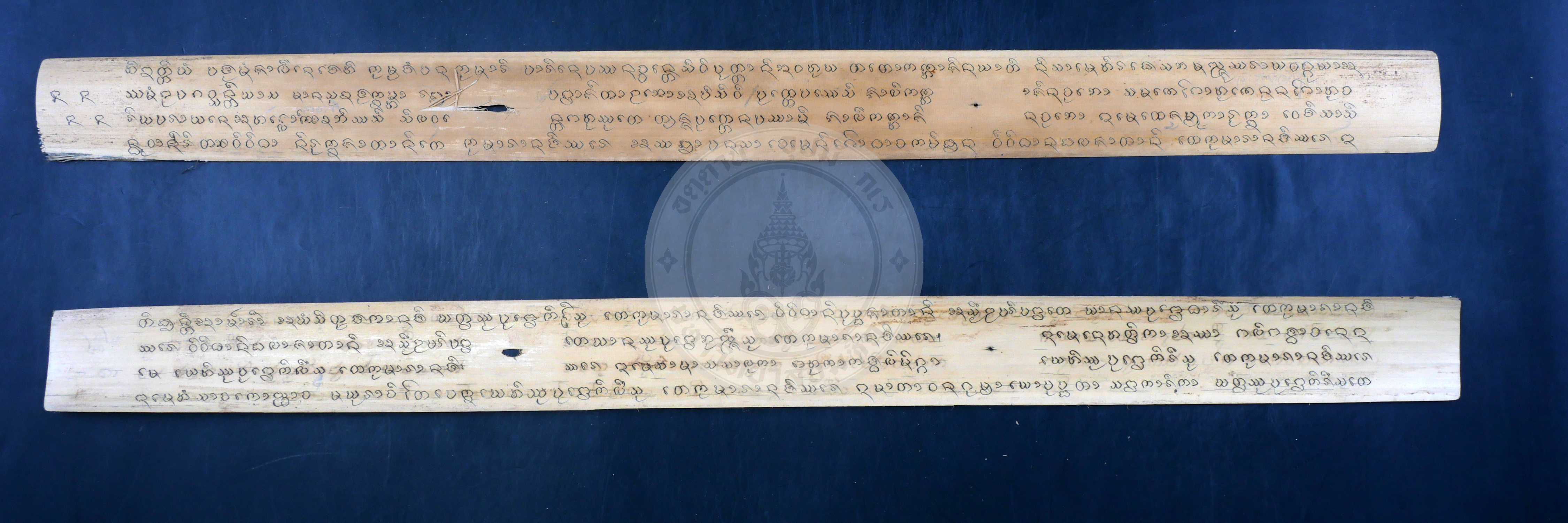 P1066106