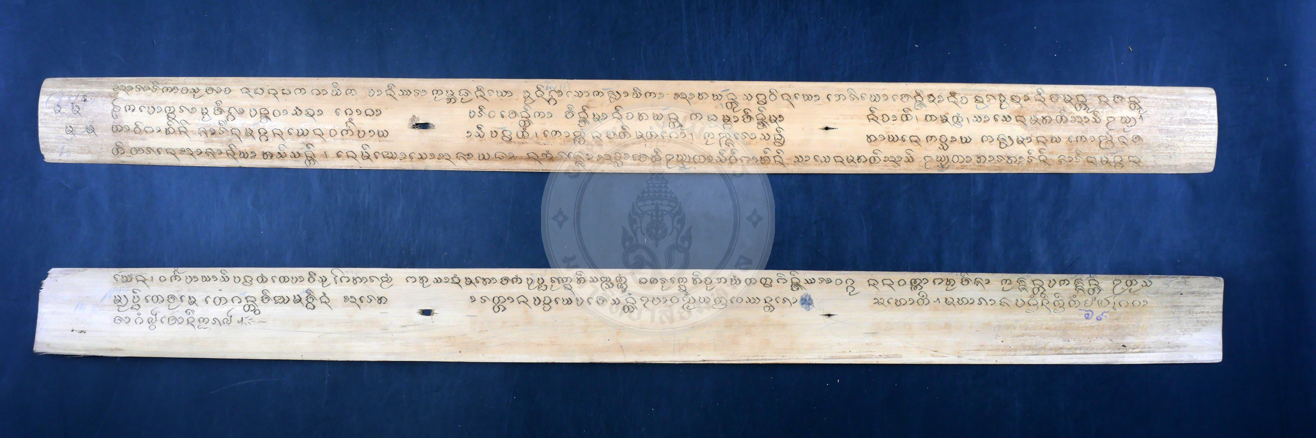P1066118