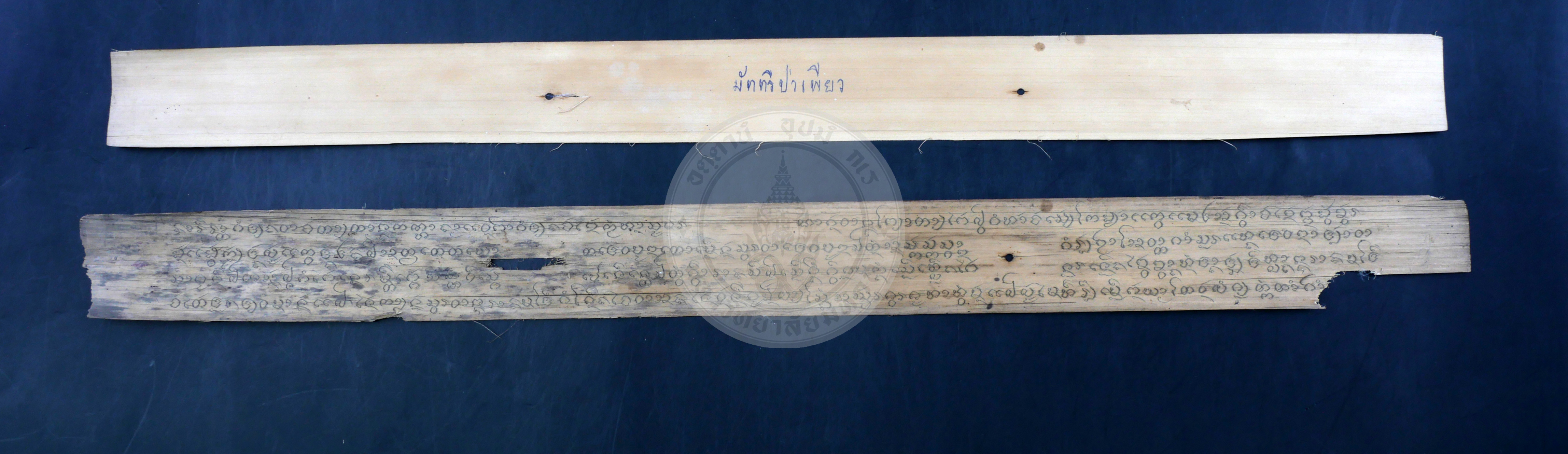 P1054895